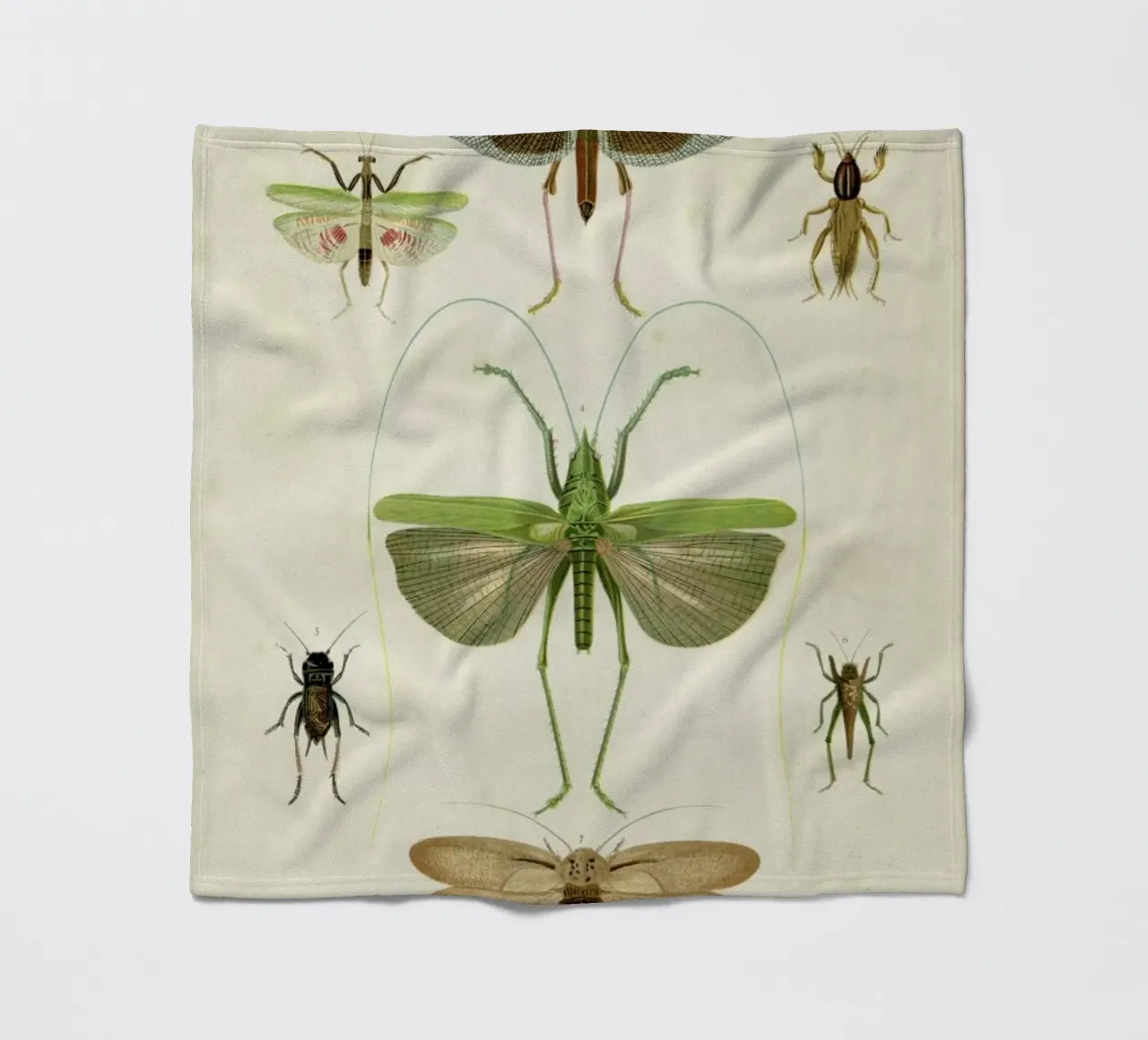 Insects coperta in pile da Flora & Fauna