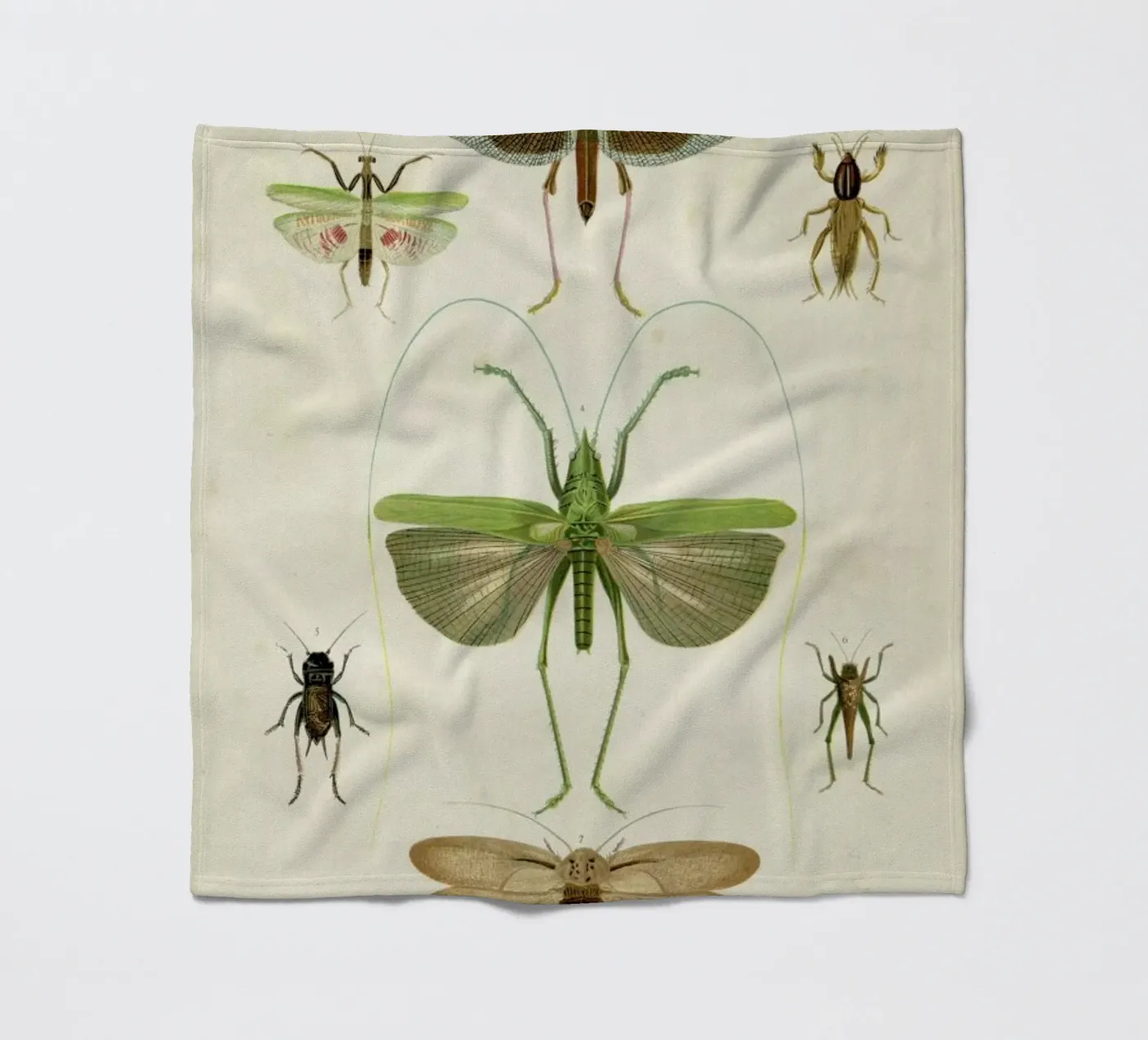 Insects fleecedeken van Flora & Fauna