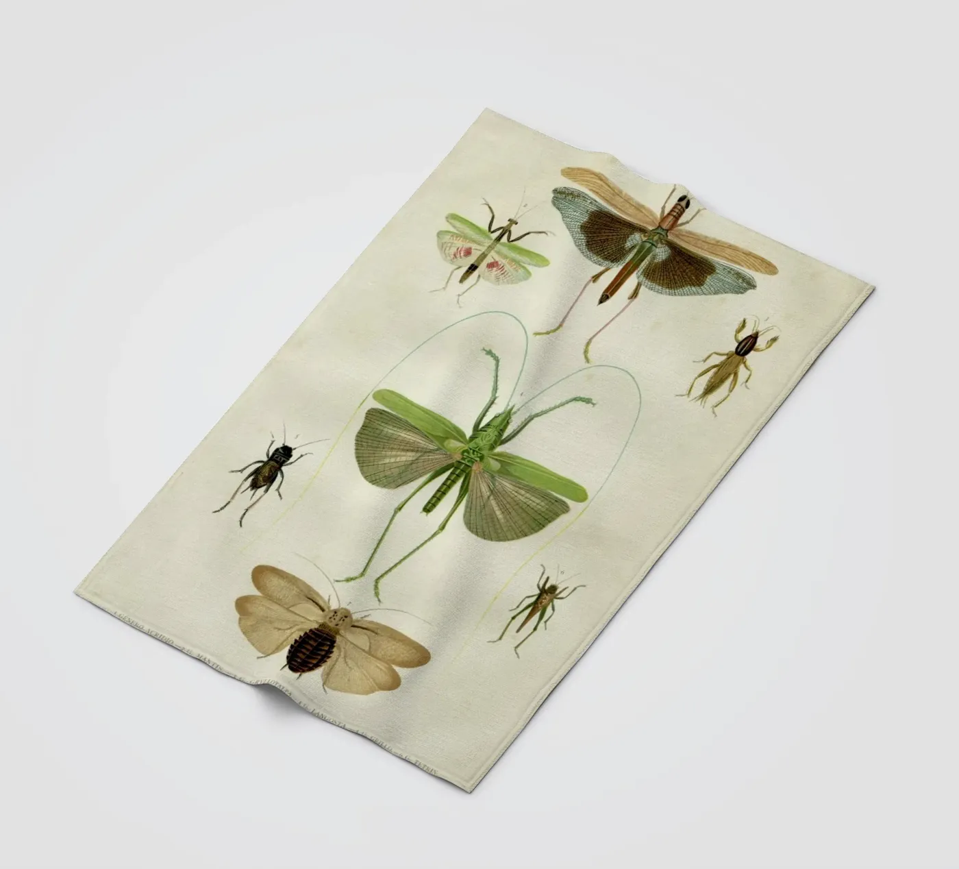 Insects fleecedeken van Flora & Fauna