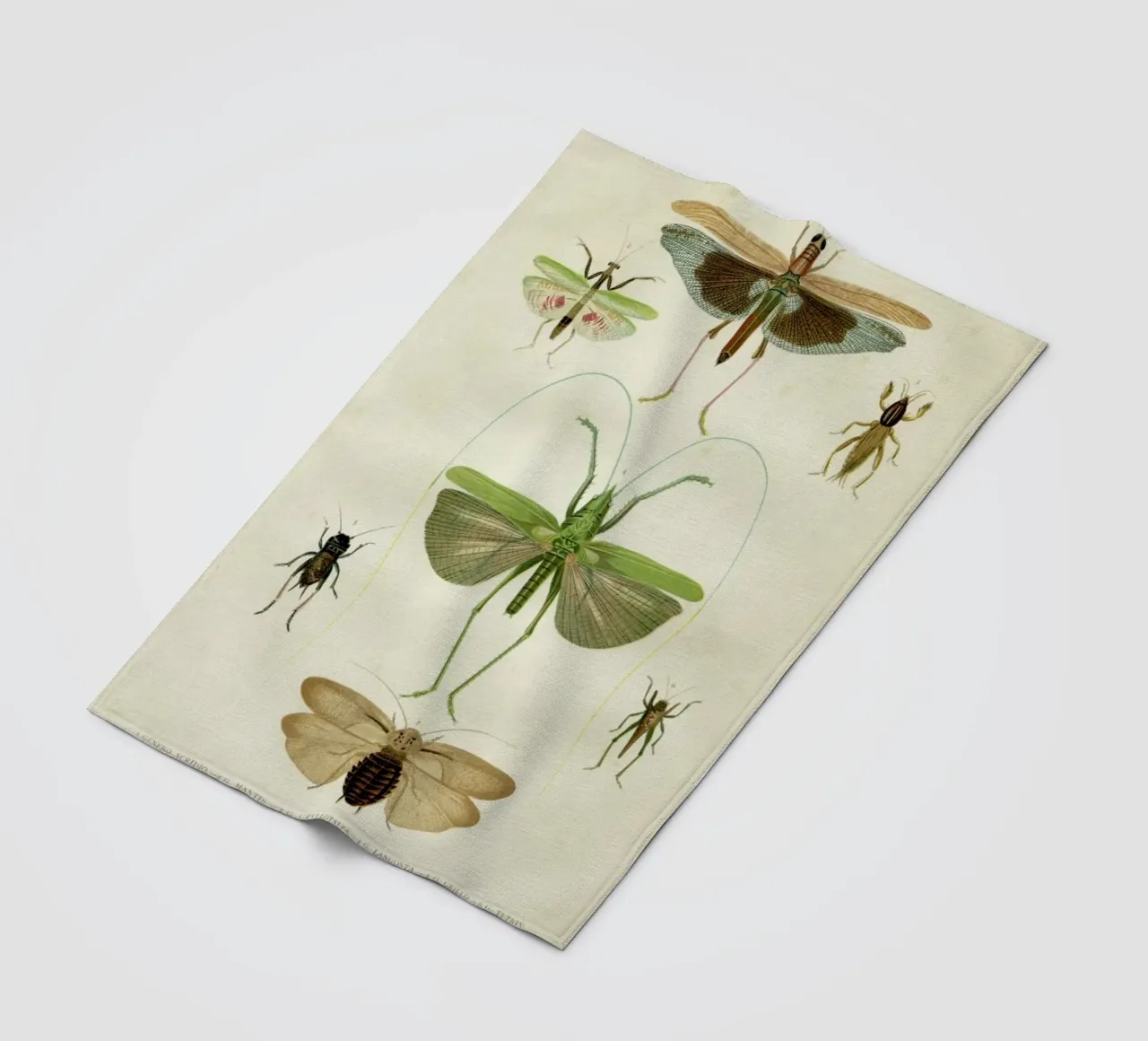 Insects coperta in pile da Flora & Fauna