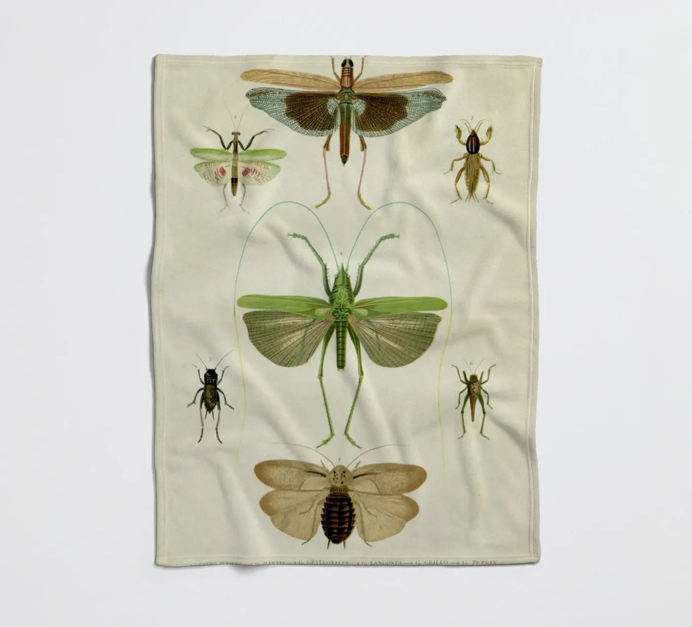 Insects fleecedeken van Flora & Fauna