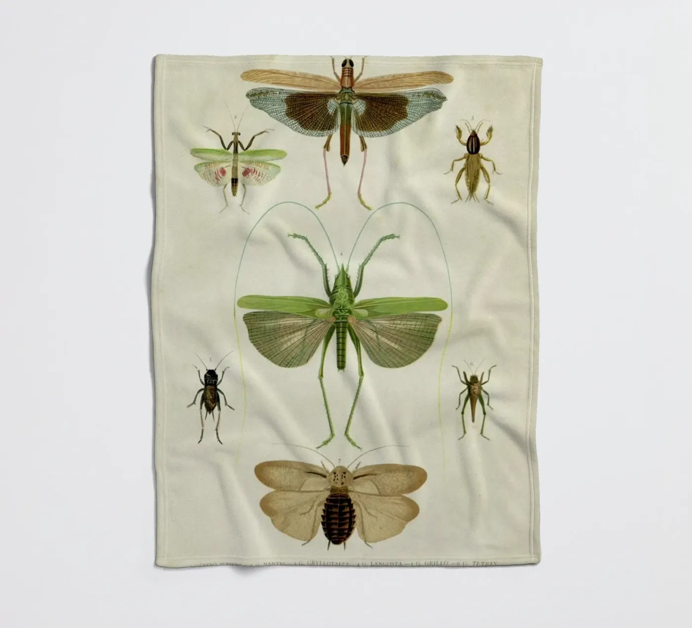 Insects Fleecedecke von Flora & Fauna