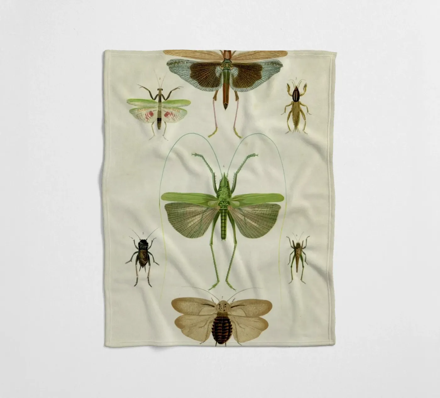 Insects fleecedeken van Flora & Fauna