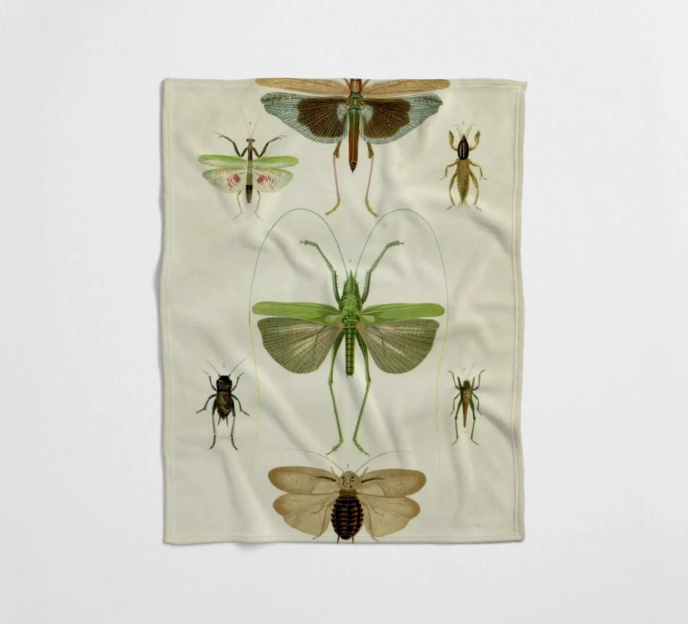 Insects Fleecedecke von Flora & Fauna