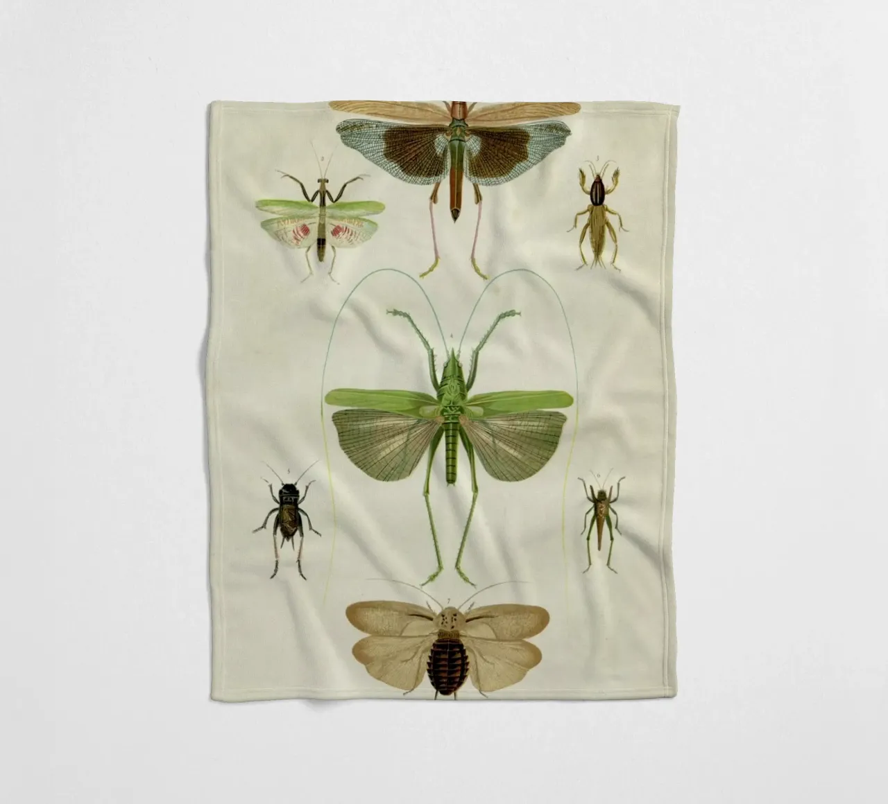 Insects coperta in pile da Flora & Fauna