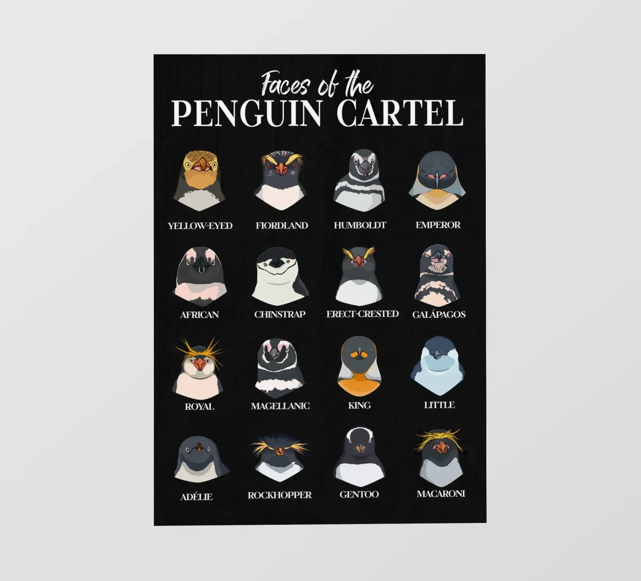 I volti del cartello dei pinguini - Tutte le specie in sintesi pellicola backlit da pixelbull - medieval art and more
