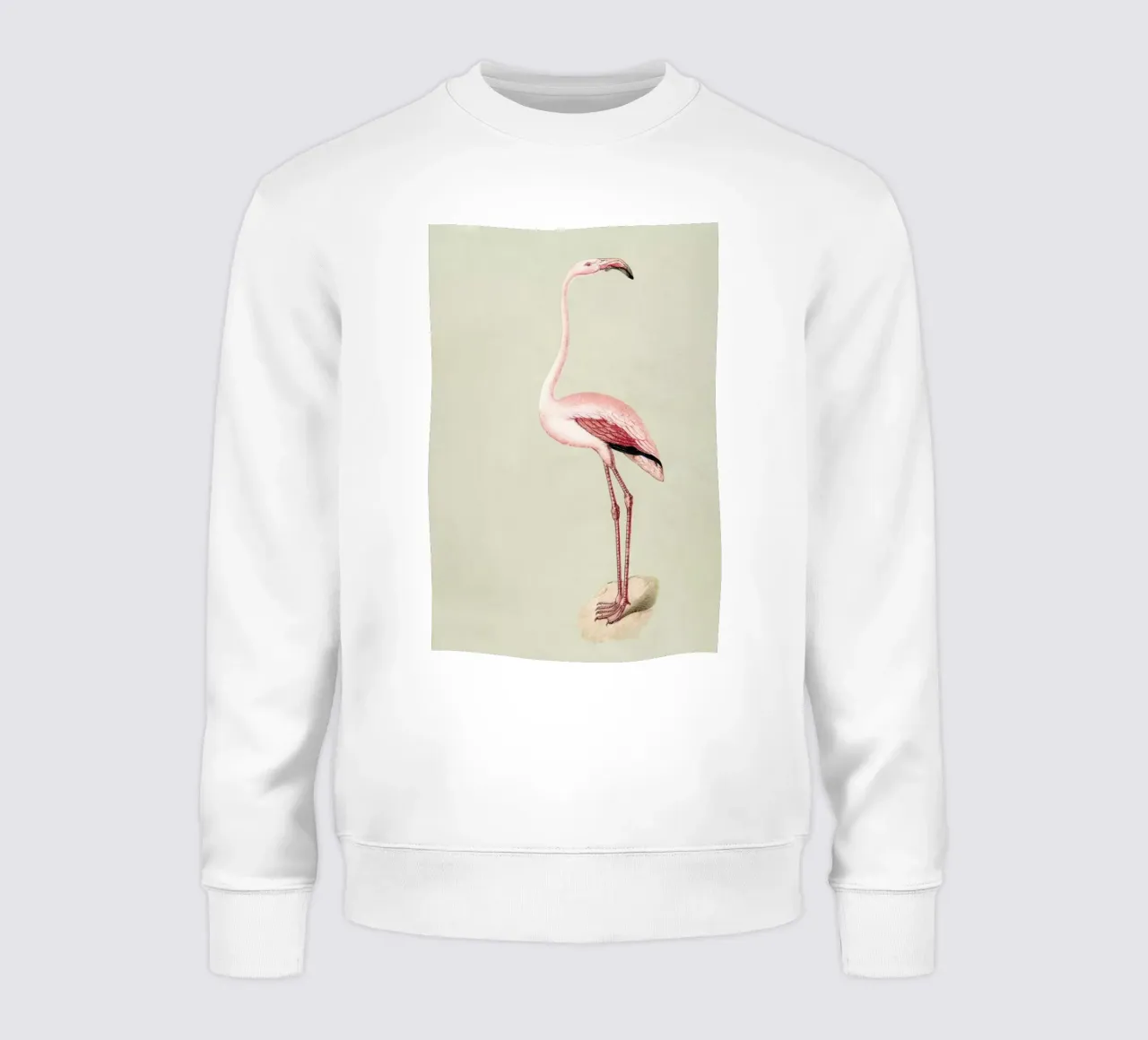 Pink Flamingo felpa da Flora & Fauna