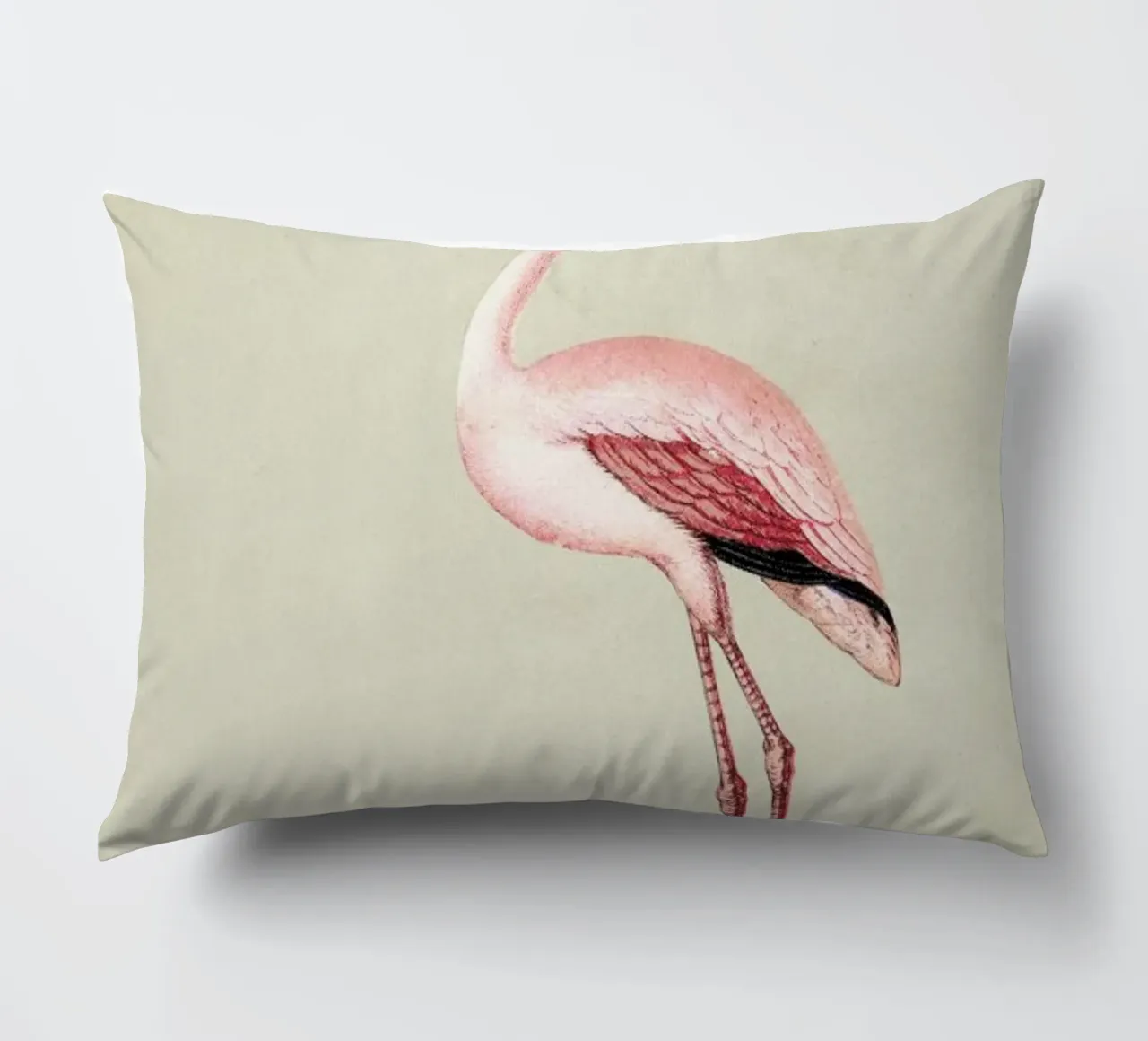Pink Flamingo cuscino da Flora & Fauna