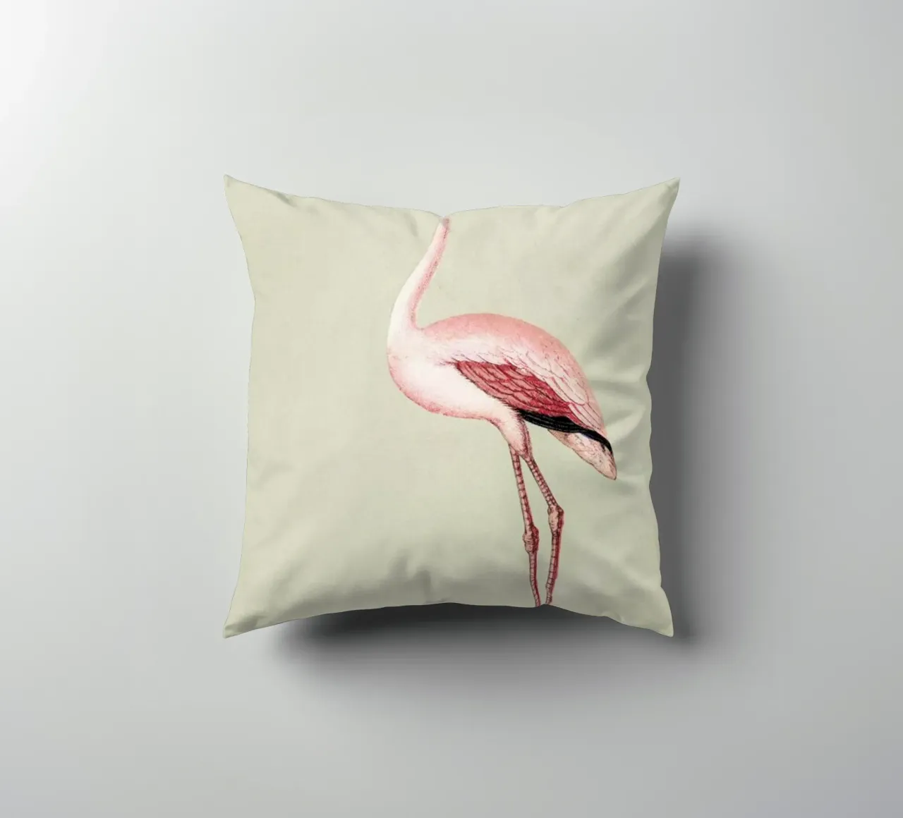 Pink Flamingo cuscino da Flora & Fauna