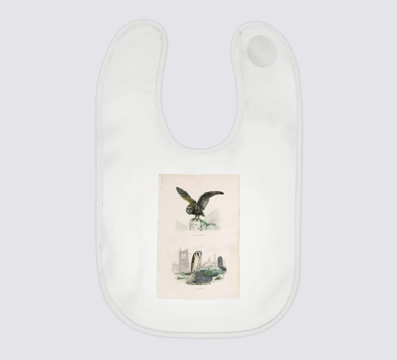 Owls bavaglino da Flora & Fauna