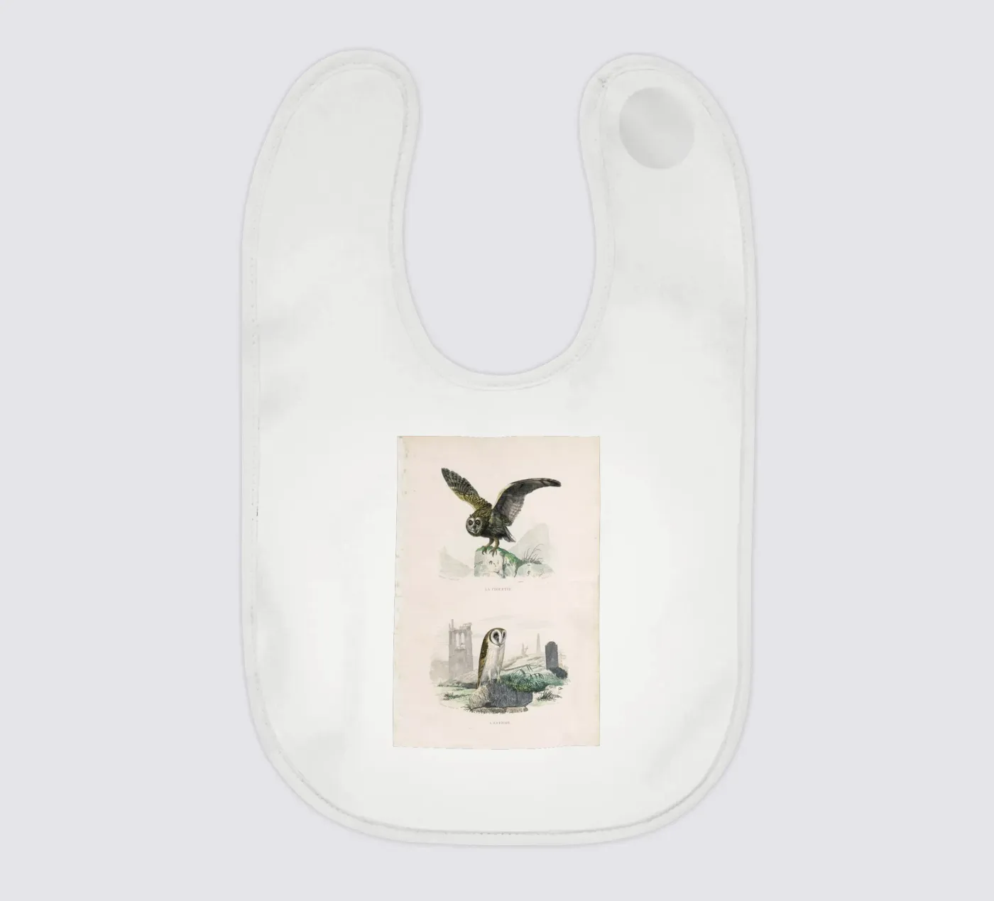 Owls bavaglino da Flora & Fauna