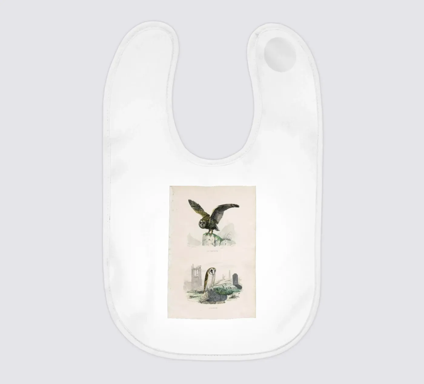 Owls bavaglino da Flora & Fauna