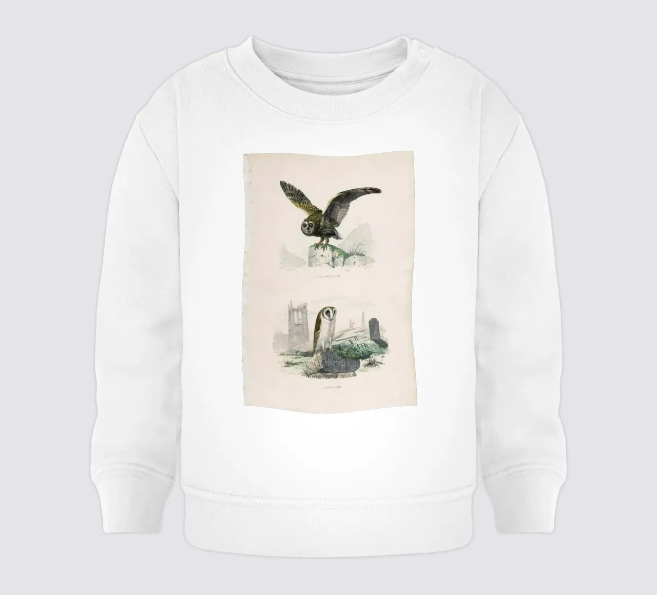 Owls felpa neonato da Flora & Fauna