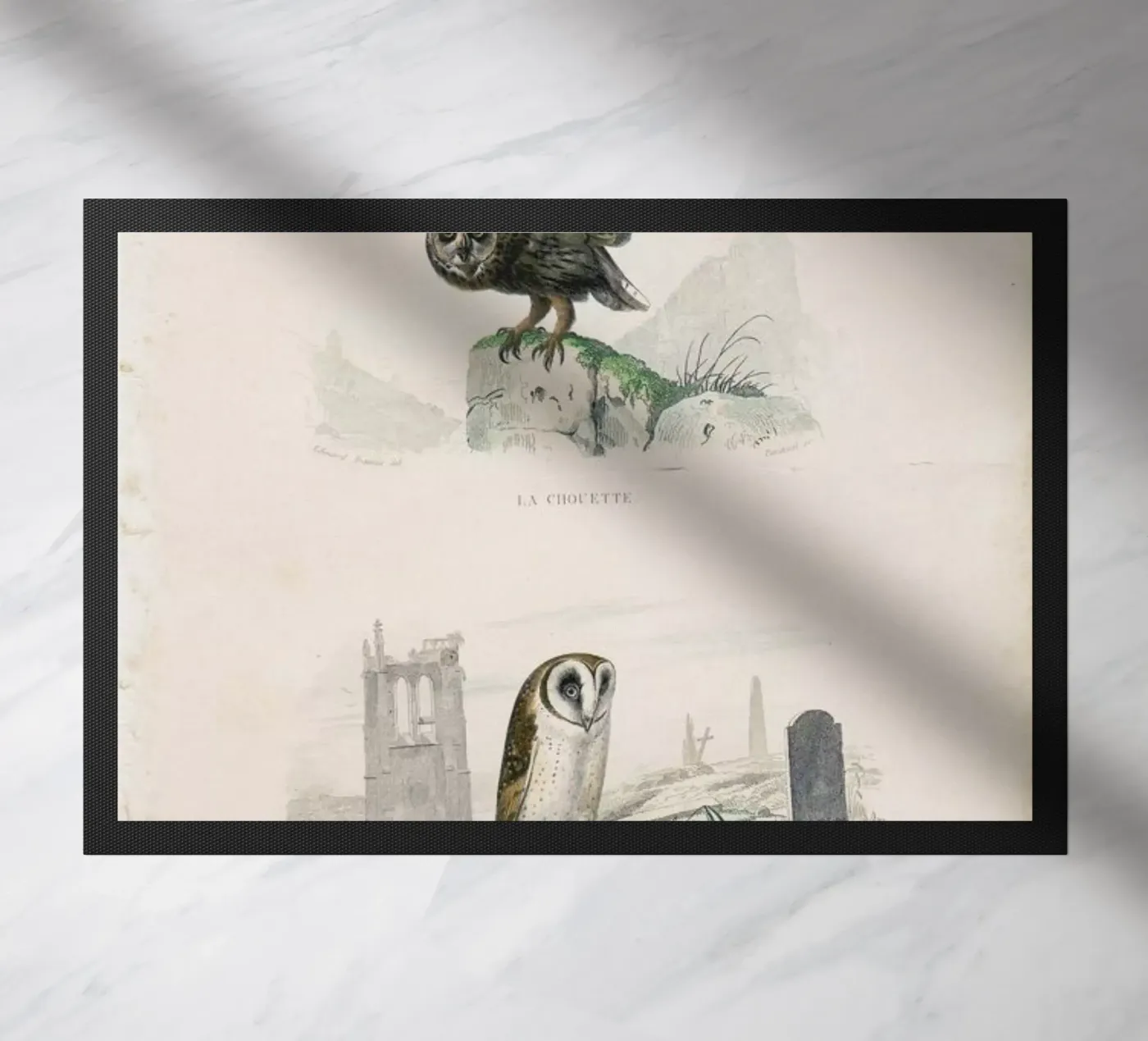 Owls zerbino da Flora & Fauna