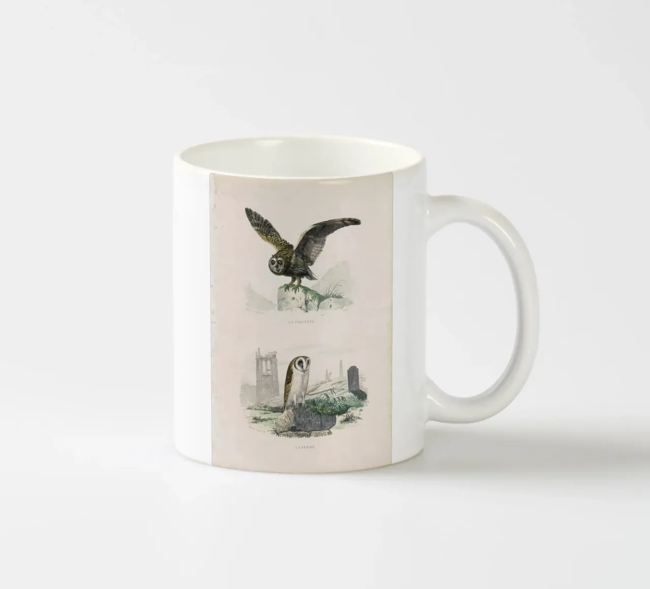 Owls tazza in ceramica da Flora & Fauna