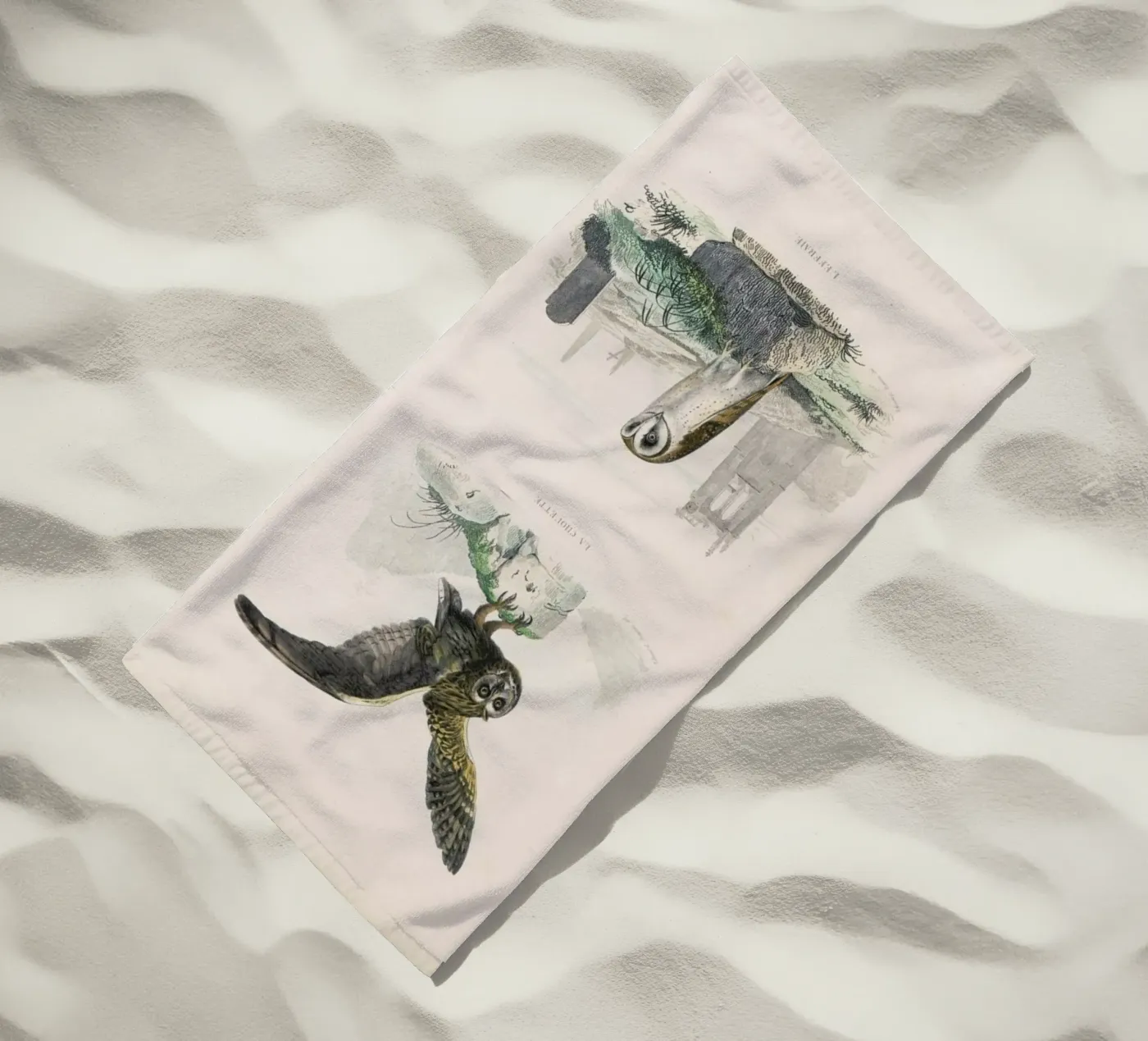 Owls telo mare da Flora & Fauna