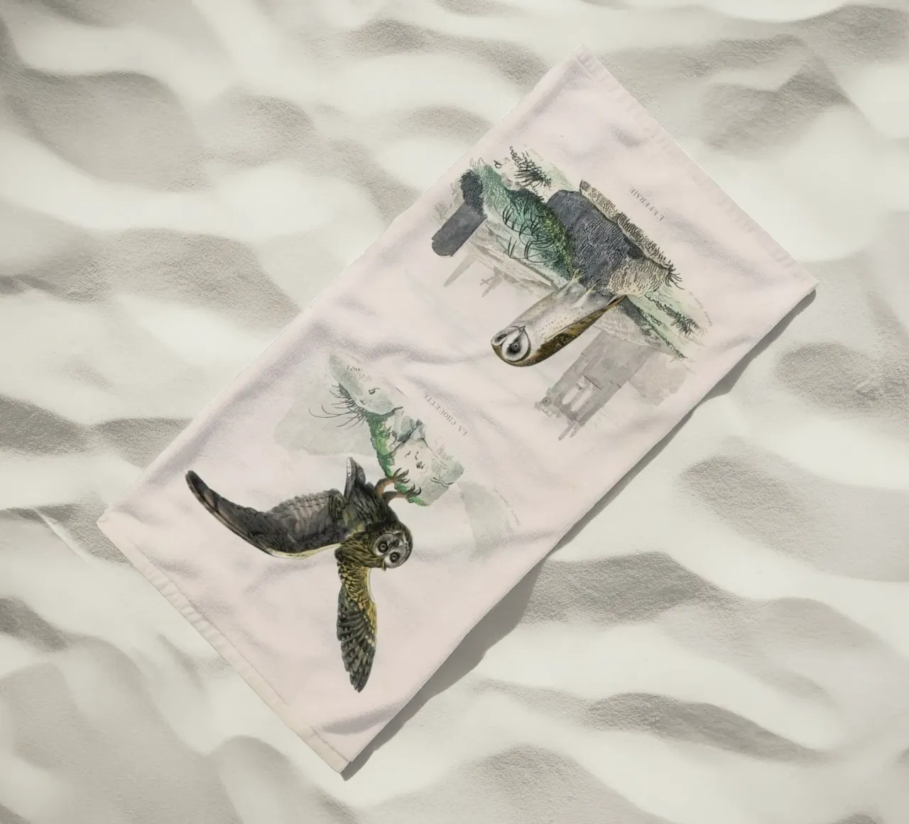 Owls telo mare da Flora & Fauna