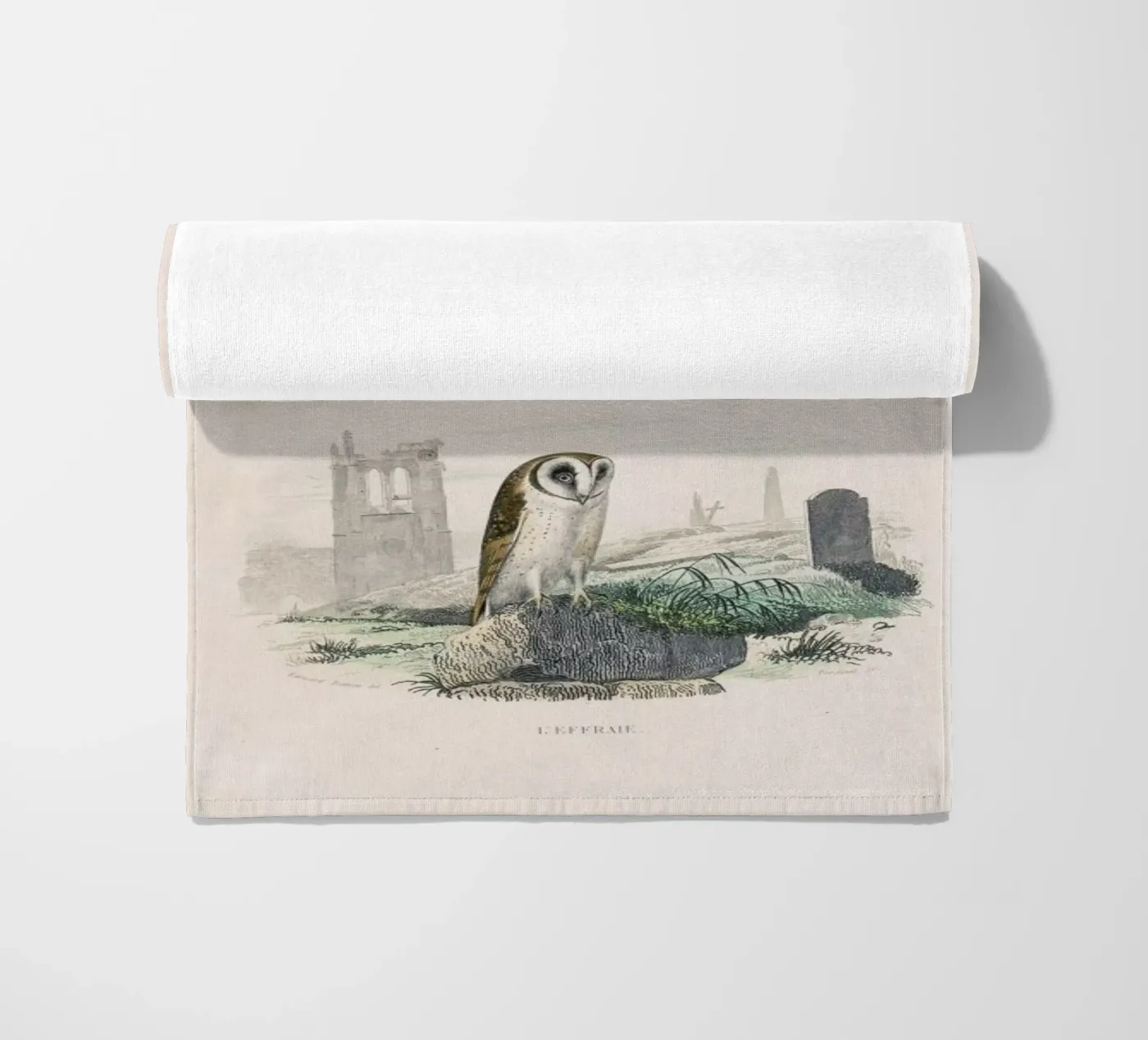 Owls telo mare da Flora & Fauna