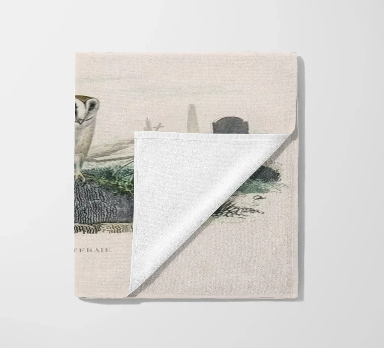 Owls telo mare da Flora & Fauna