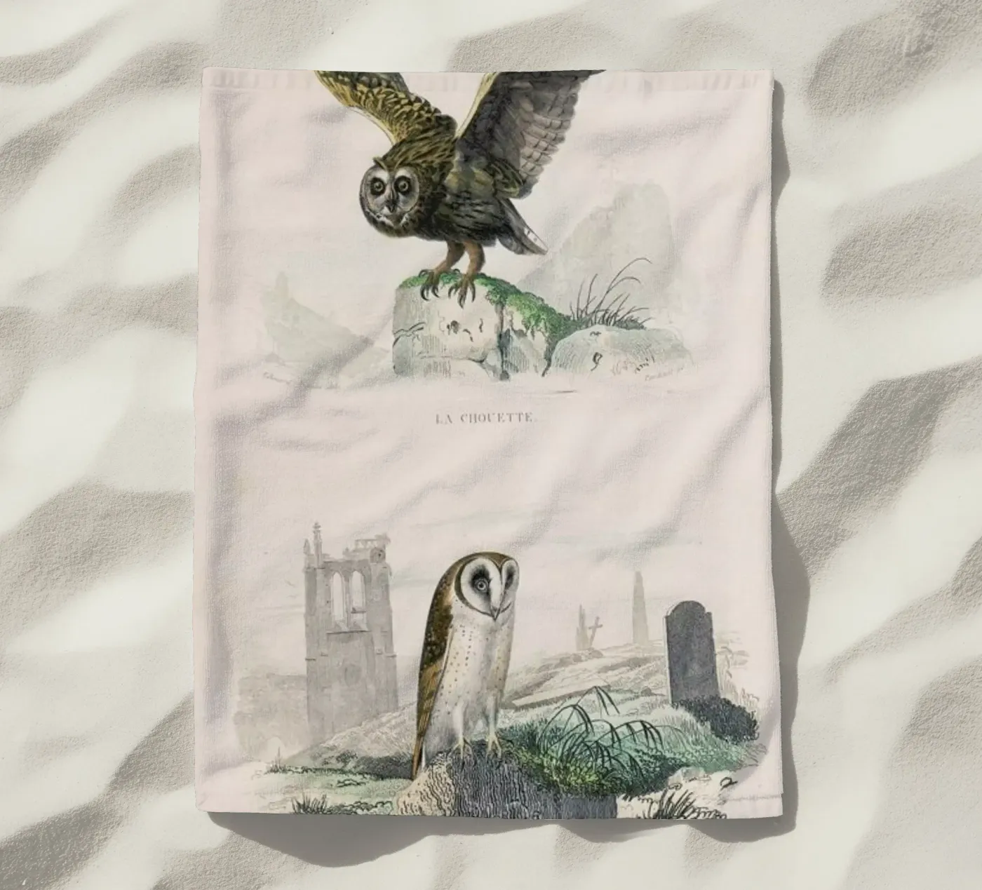 Owls telo mare da Flora & Fauna