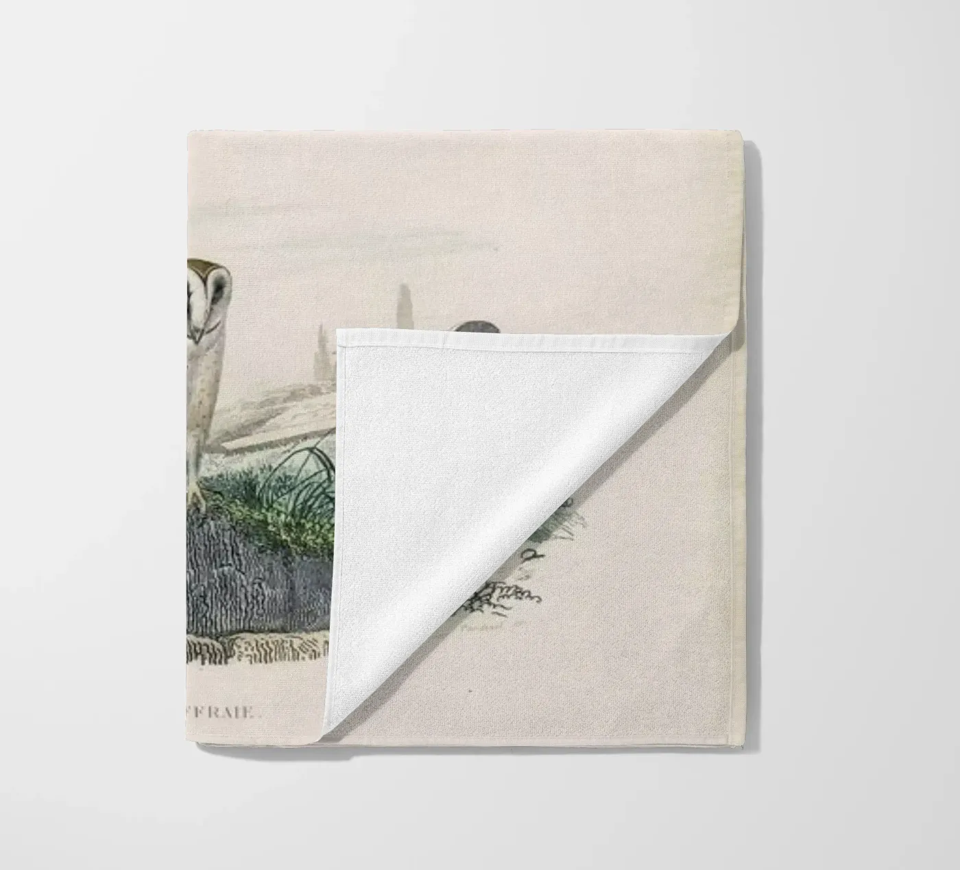 Owls telo mare da Flora & Fauna