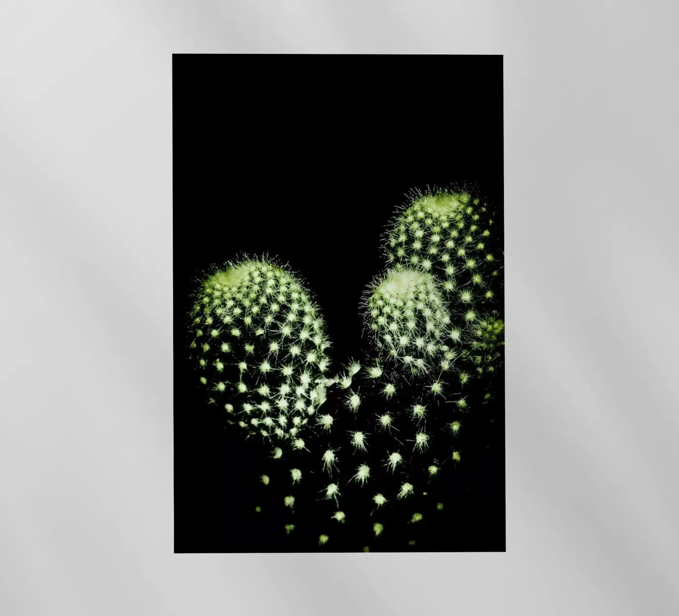 Dark Cactus pellicola backlit da Babett Schultze