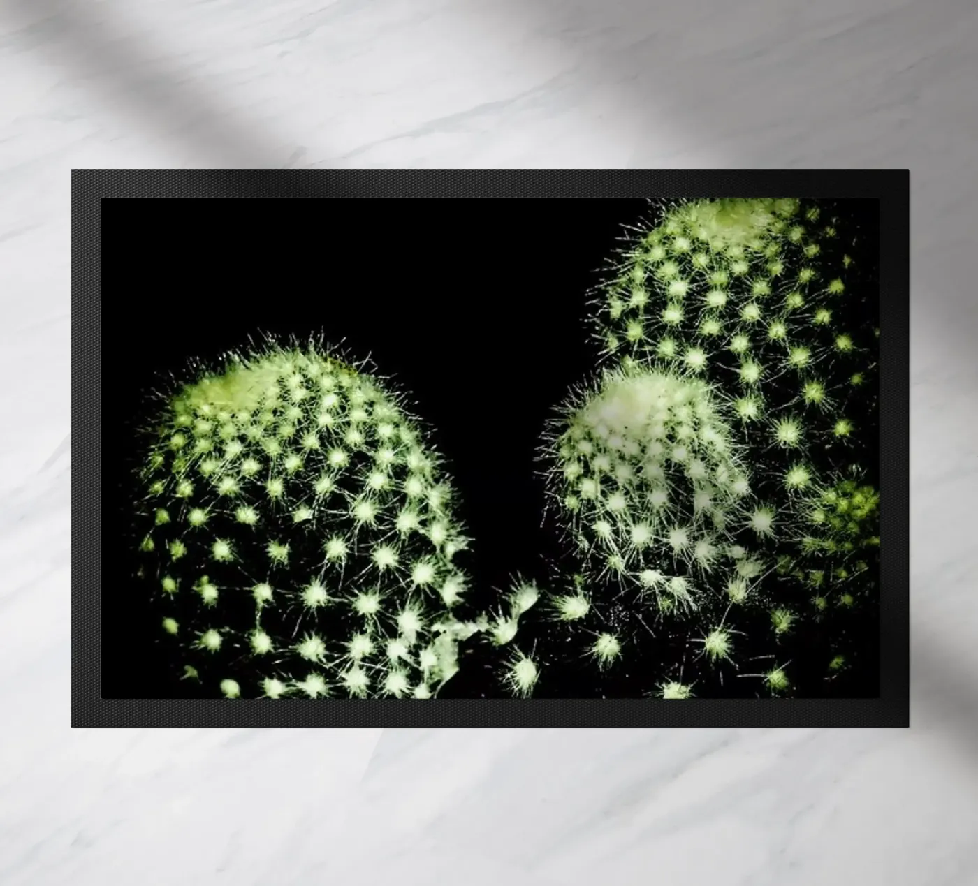Dark Cactus deurmat van Babett Schultze