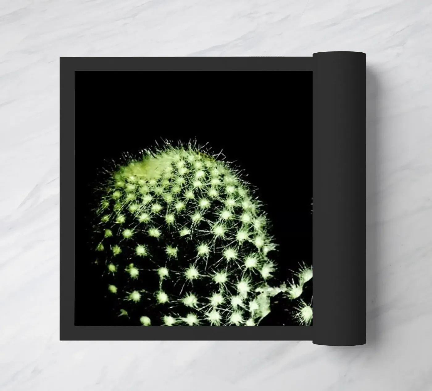 Dark Cactus zerbino da Babett Schultze