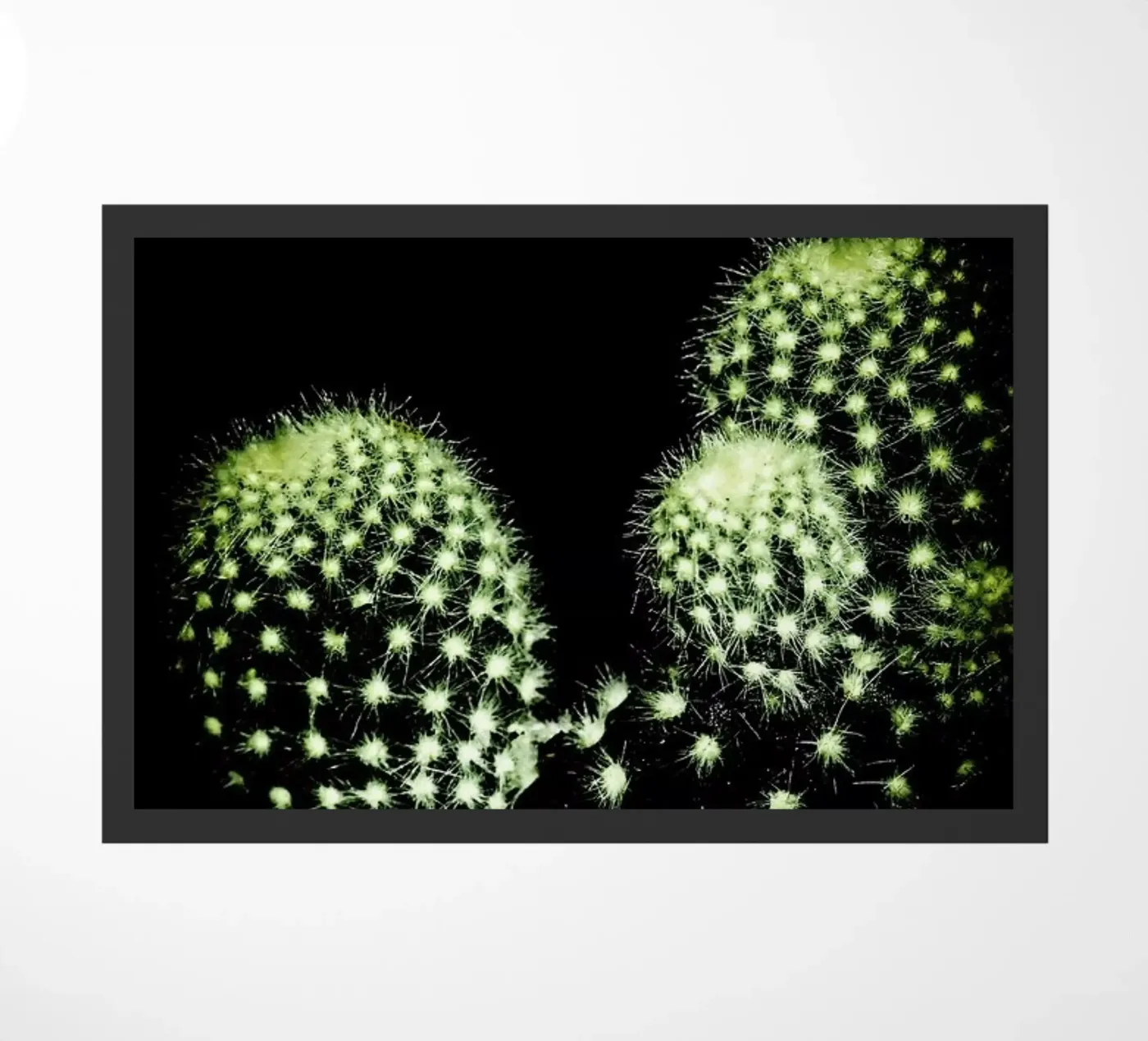 Dark Cactus deurmat van Babett Schultze