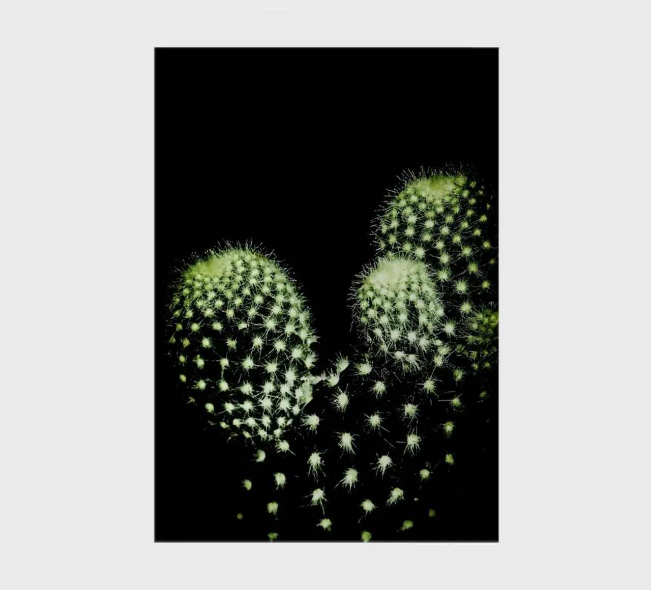 Dark Cactus notebook by Babett Schultze