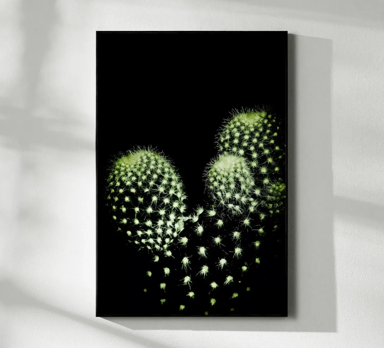 Dark Cactus plexiglass da Babett Schultze
