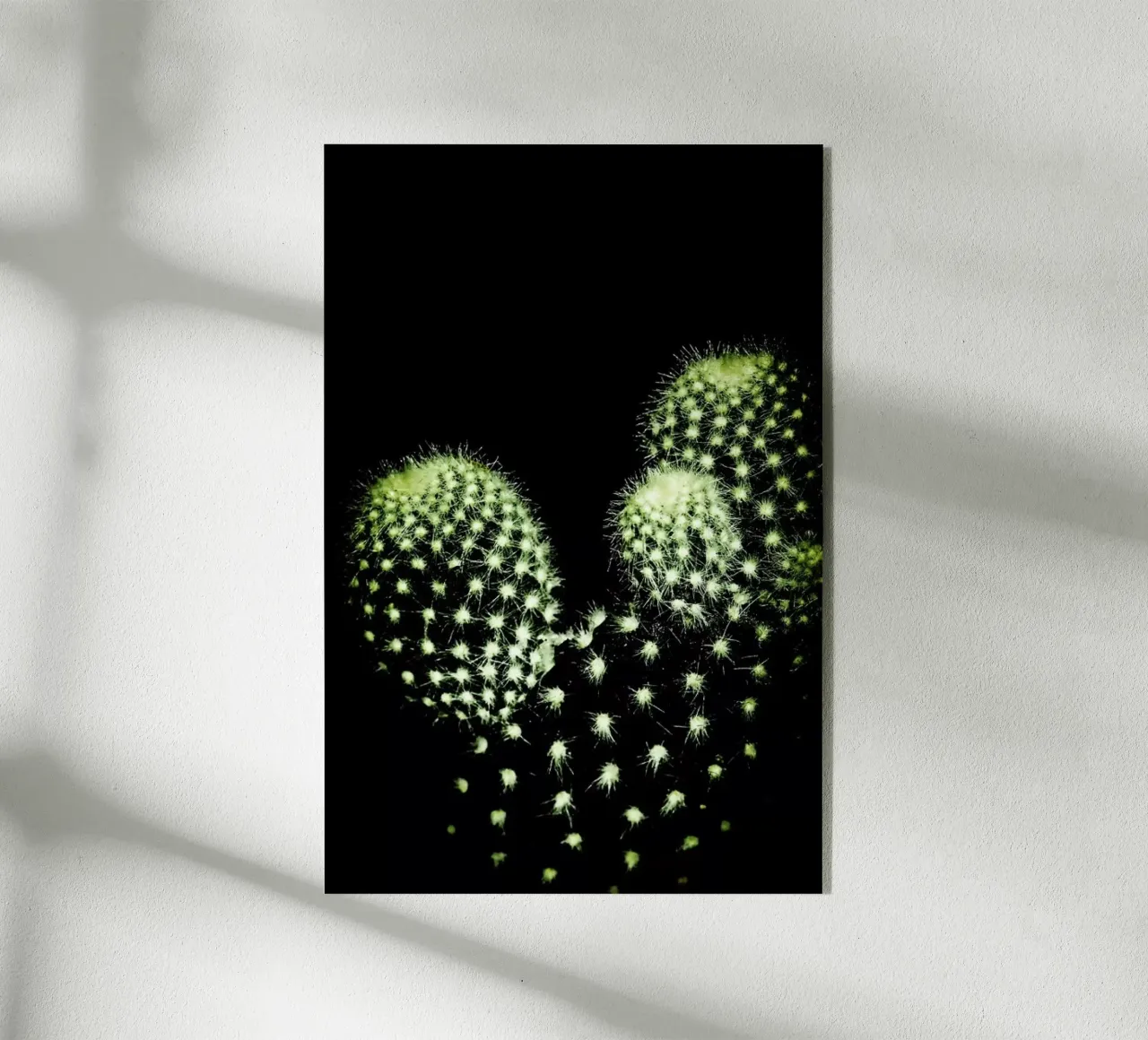 Dark Cactus plexiglass da Babett Schultze