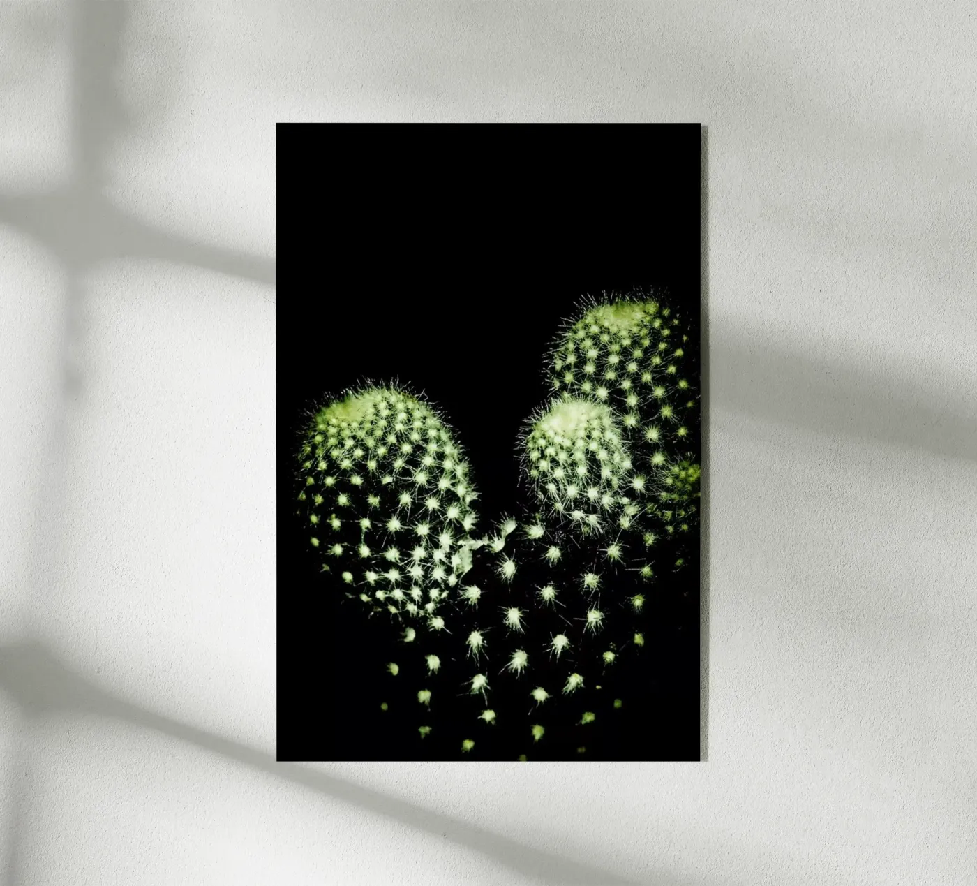 Dark Cactus plexiglas de Babett Schultze