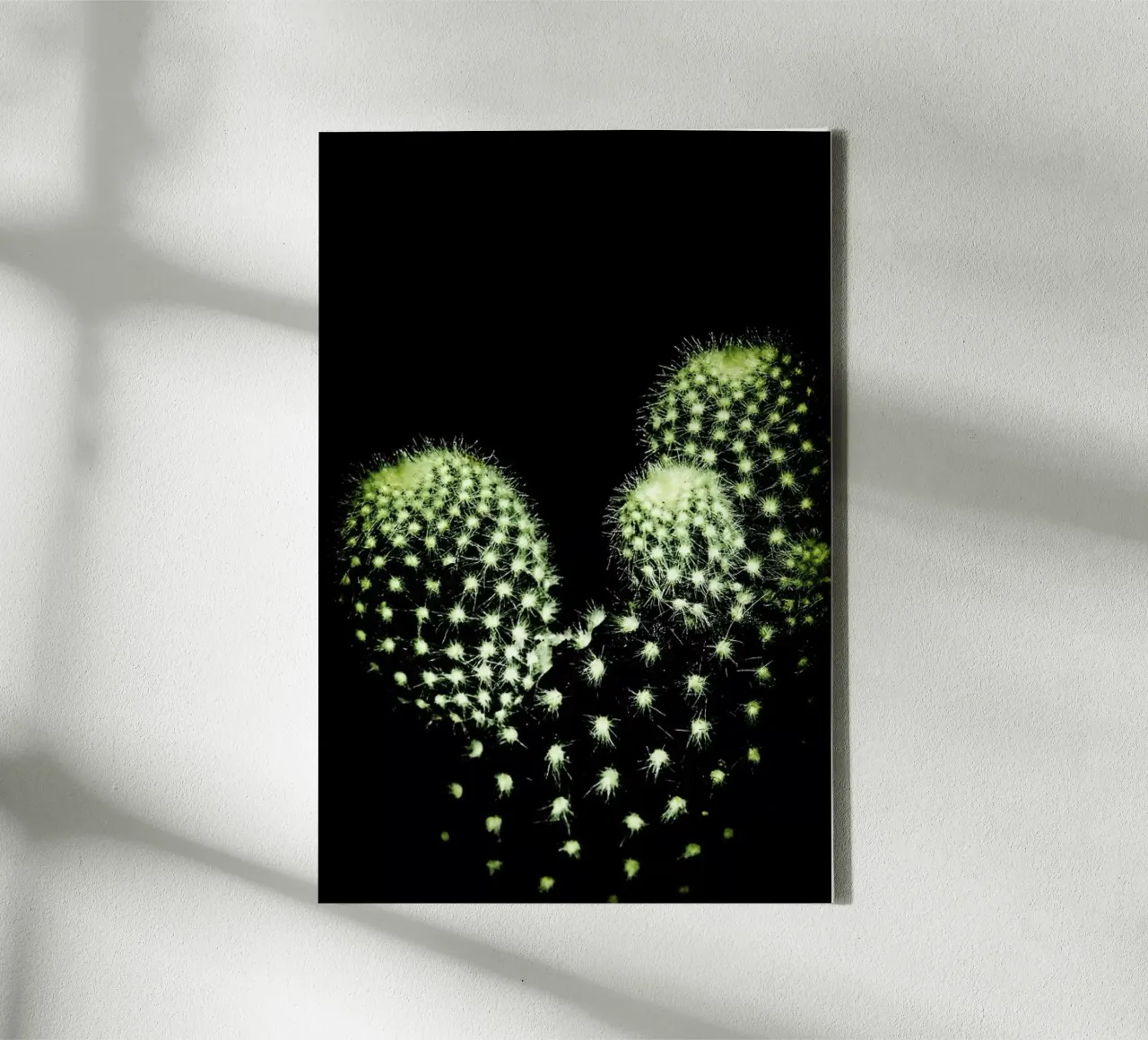 Dark Cactus tela con Cornice a cassetta da Babett Schultze