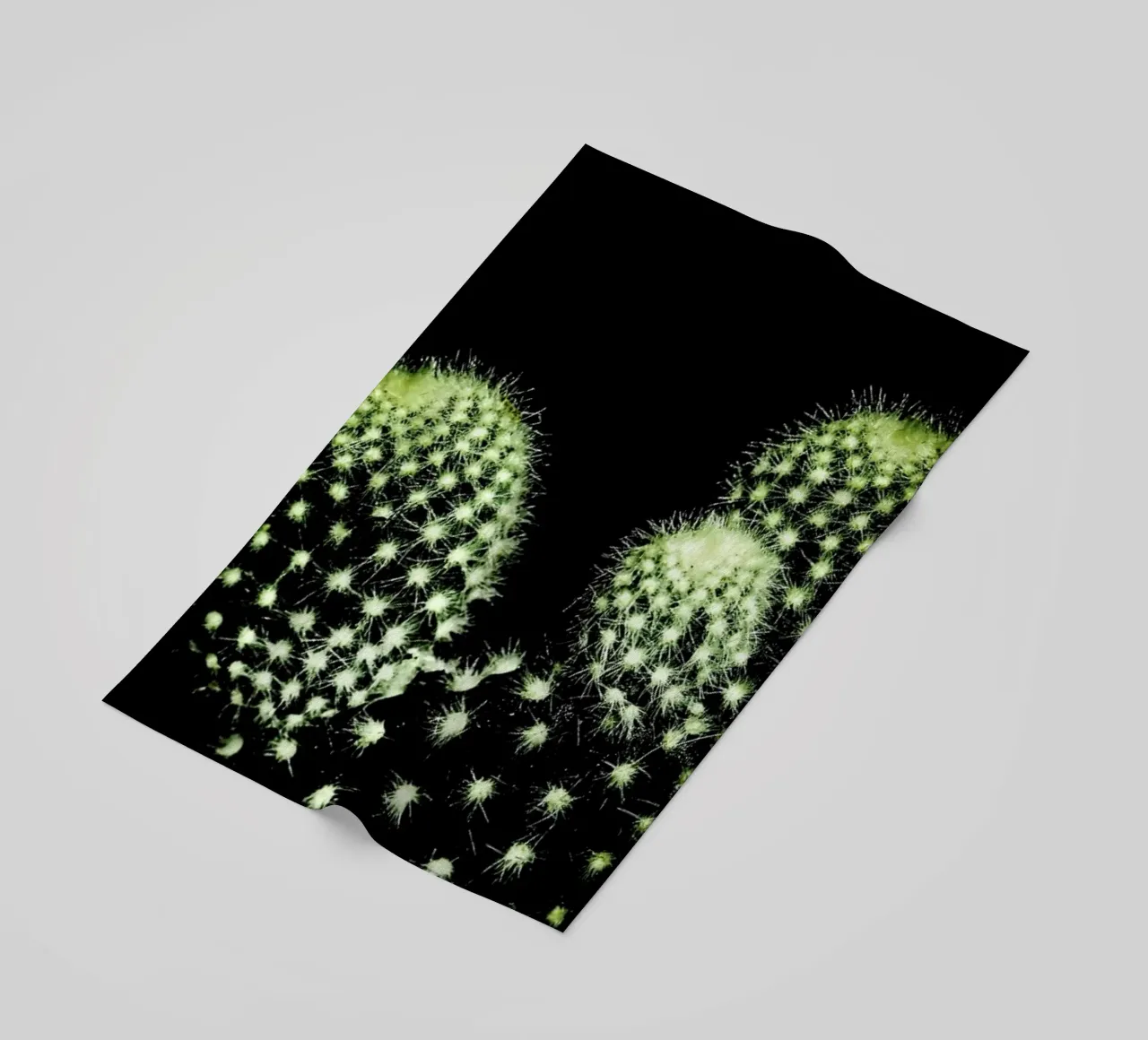 Dark Cactus telo mare da Babett Schultze