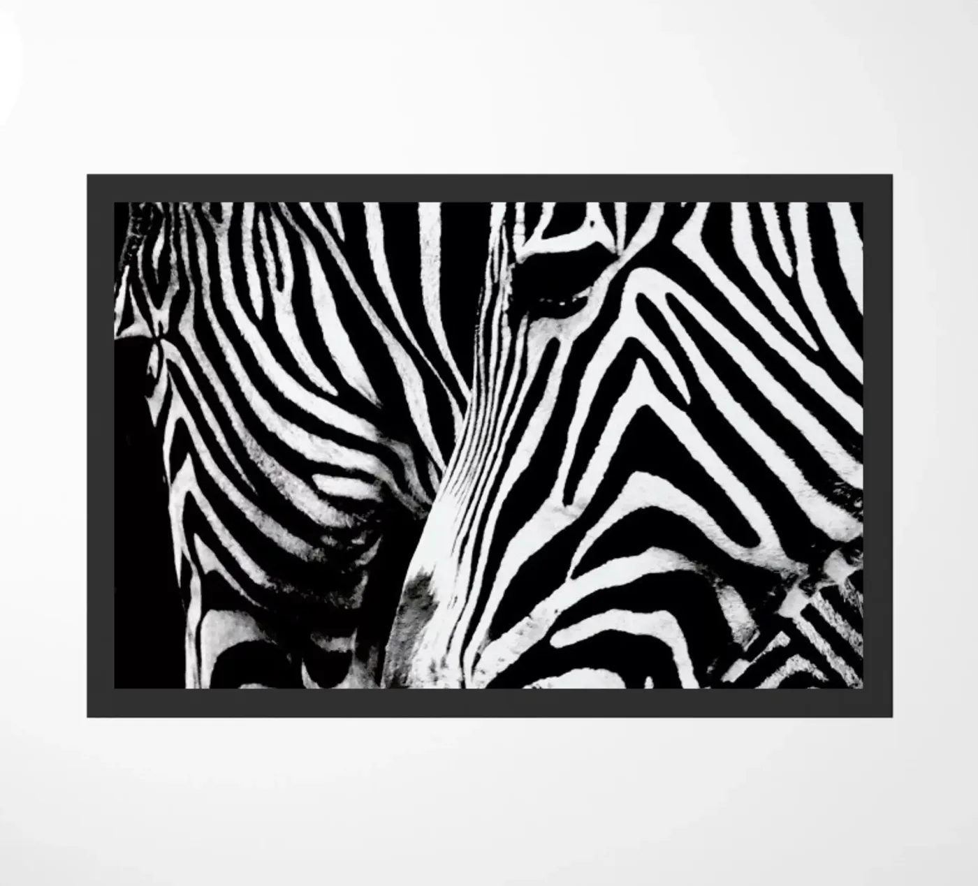 Zebra Hug zerbino da Babett Schultze