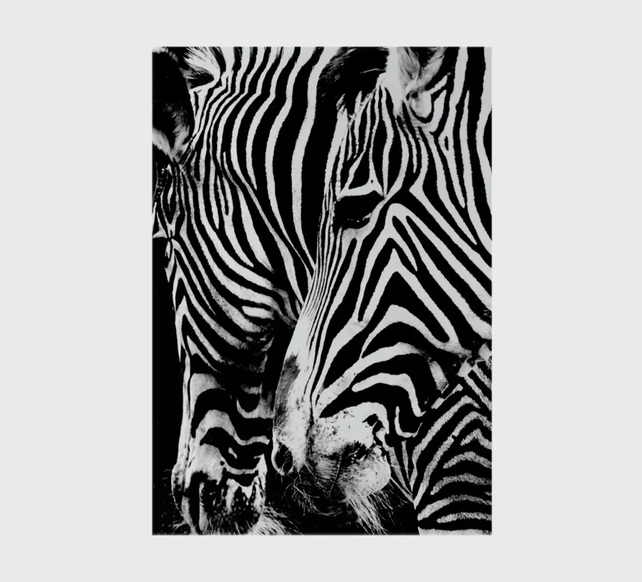 Zebra Hug notebook by Babett Schultze
