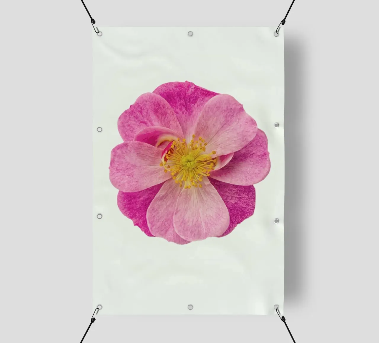 Singola rosa selvatica telo in pvc da Curious Collections by Marielle Leenders