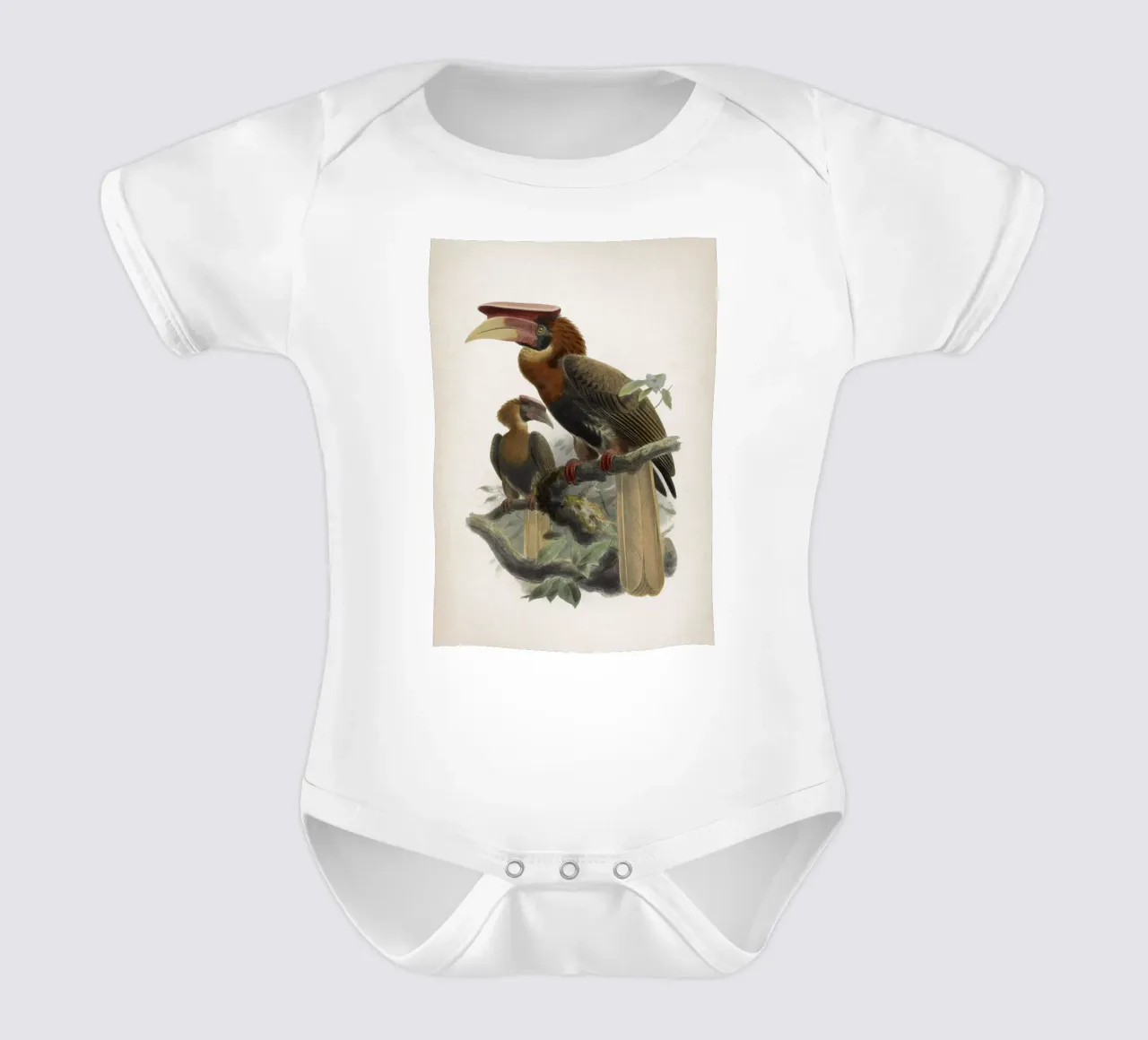 Vintage Keulemans 1 Hydrocorax Mindanensis body neonato maniche corte da Vintage Print Collection