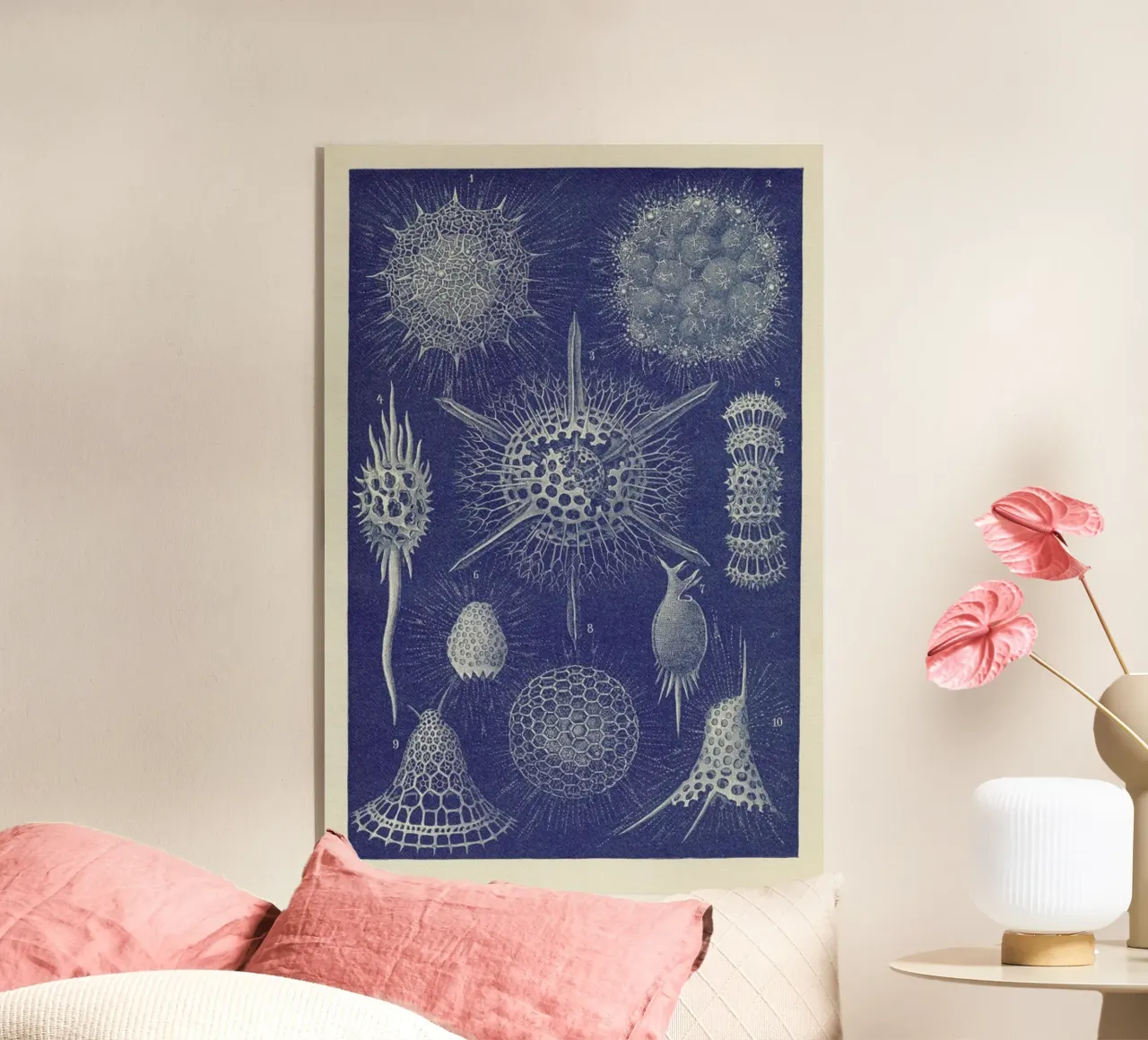 Radiolaria plexiglass da Flora & Fauna