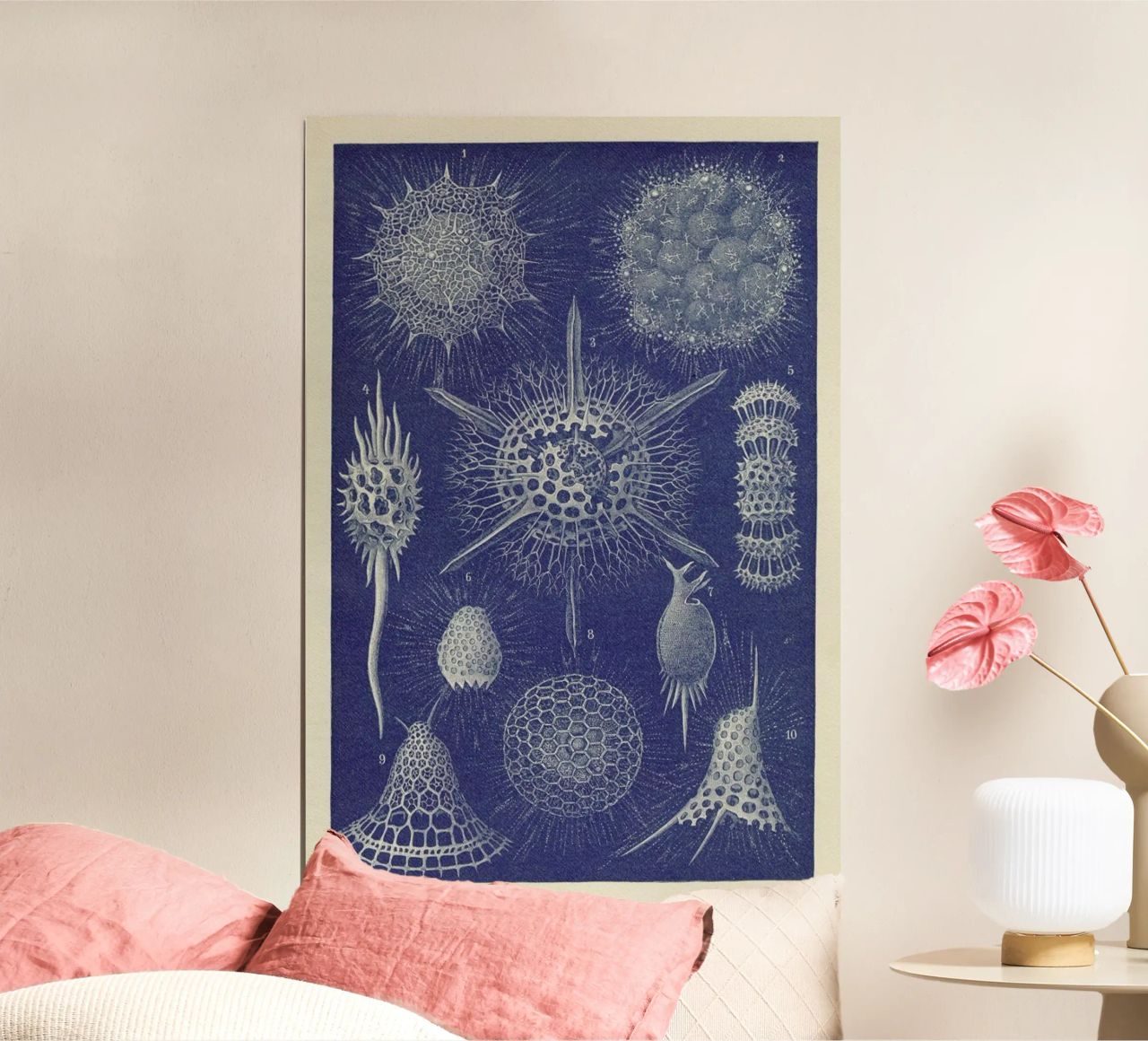 Radiolaria poster de Flora & Fauna
