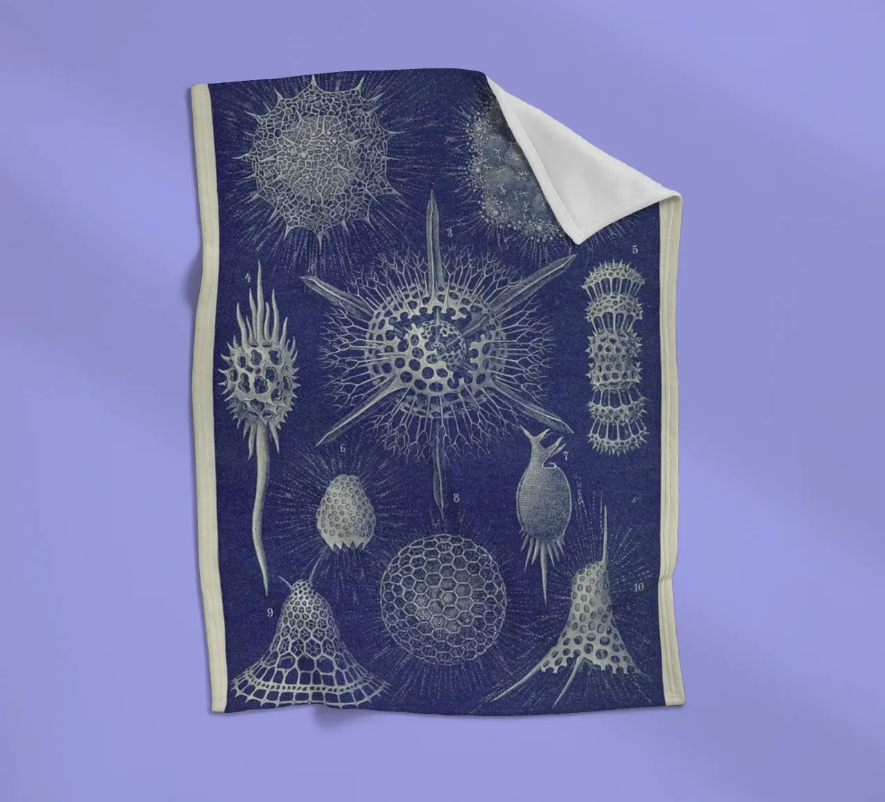 Radiolaria fleece blanket by Flora & Fauna
