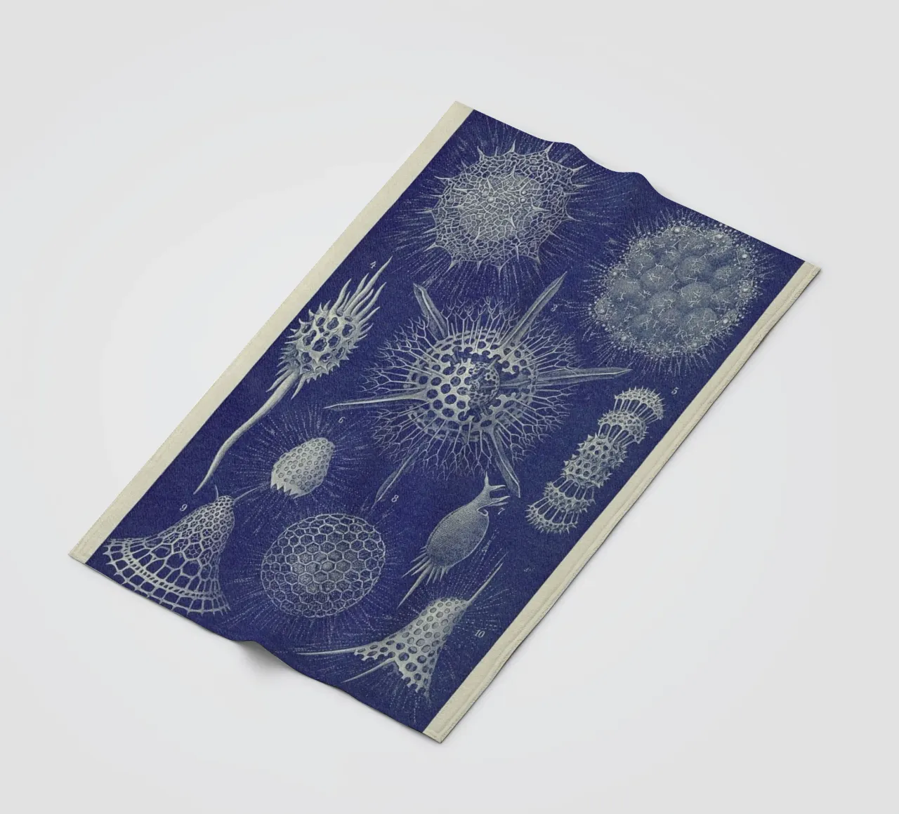 Radiolaria fleece blanket by Flora & Fauna