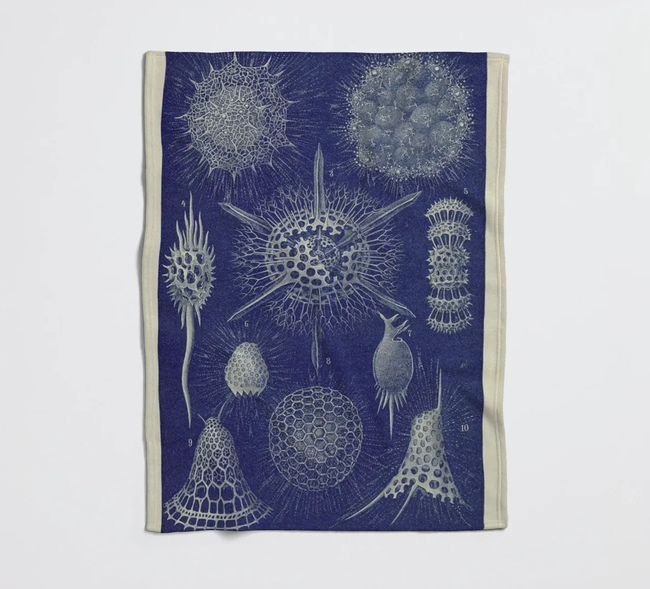 Radiolaria fleece blanket by Flora & Fauna