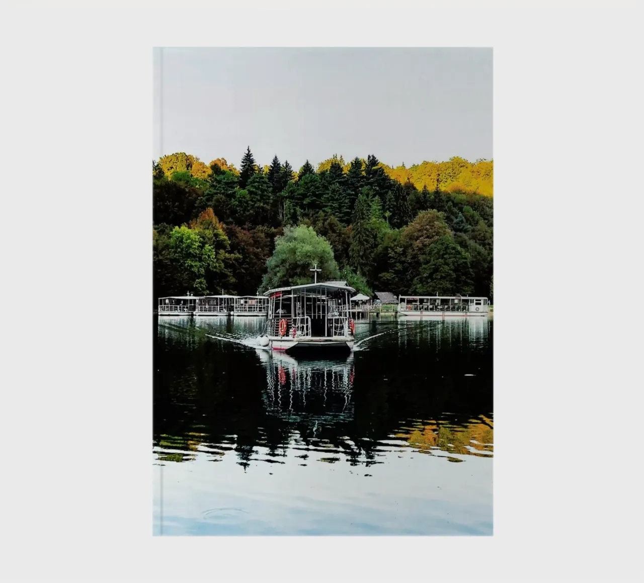 Reflections on Lake notebook by Babett Schultze