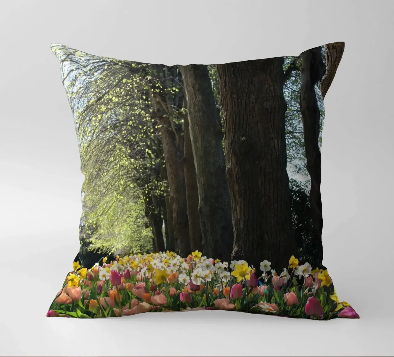 SpringTime cuscino da DragonFly