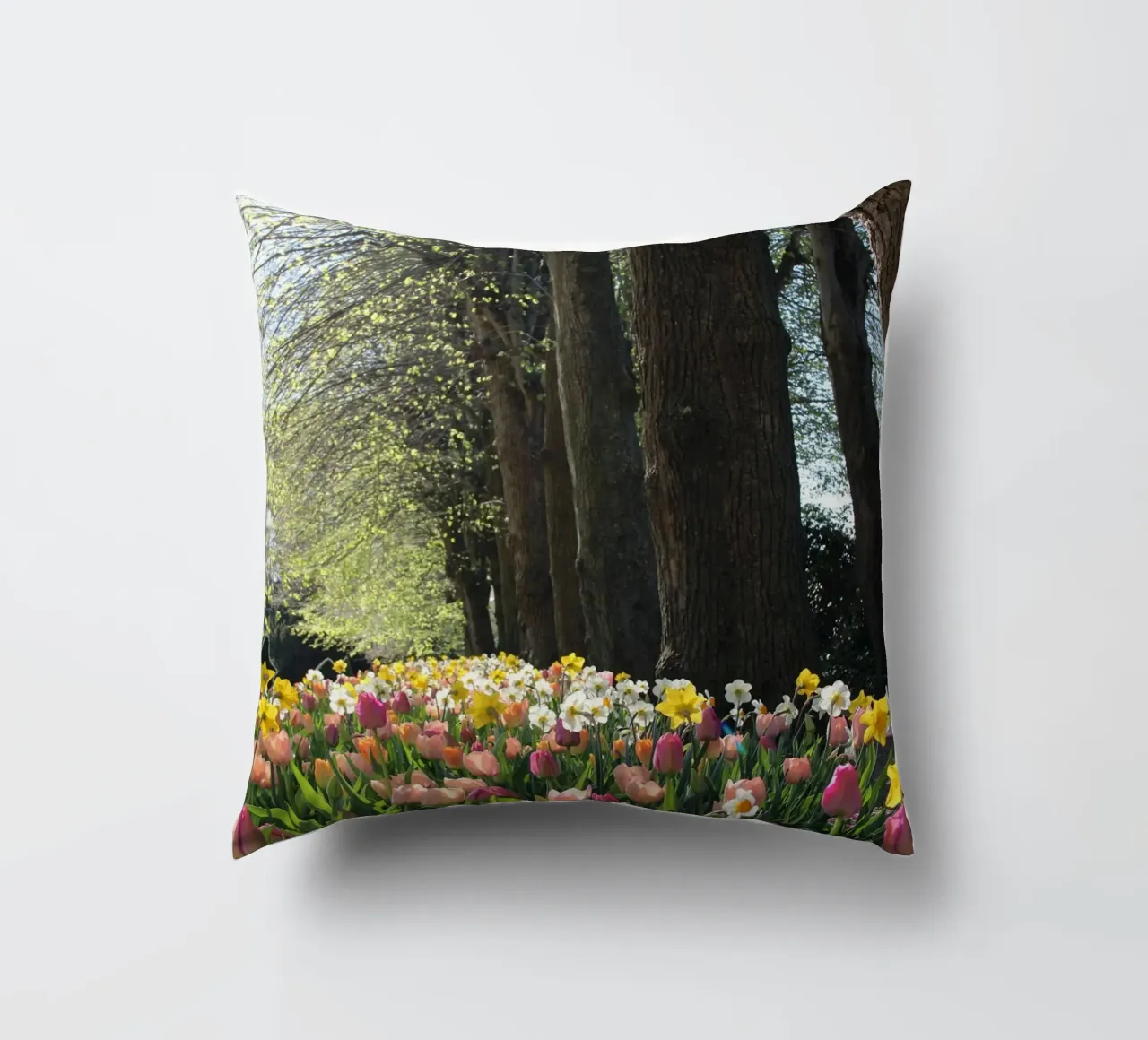 SpringTime cuscino da DragonFly