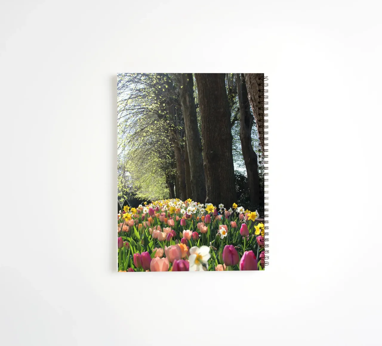 SpringTime diario ad anelli da DragonFly