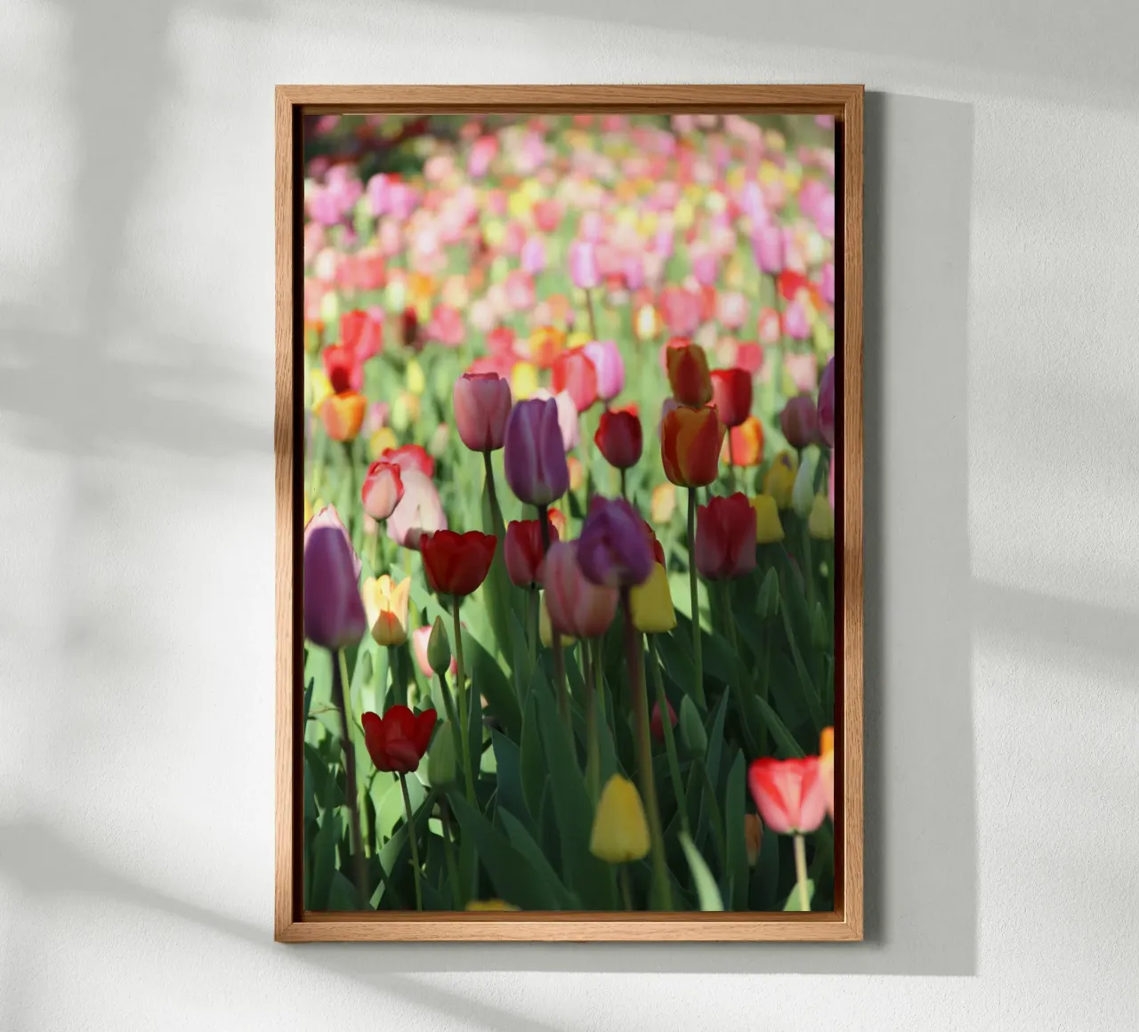 SpringTime2 alluminio dibond da DragonFly