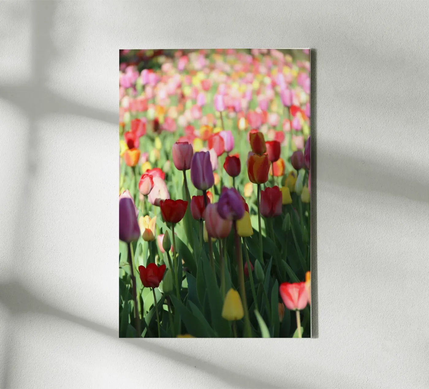 SpringTime2 canvas van DragonFly